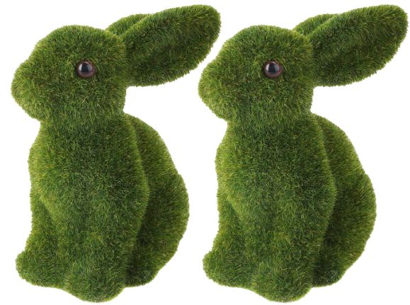 conejos_hierva2-removebg-preview.png