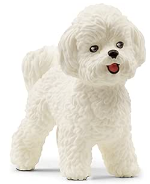 bichon.PNG