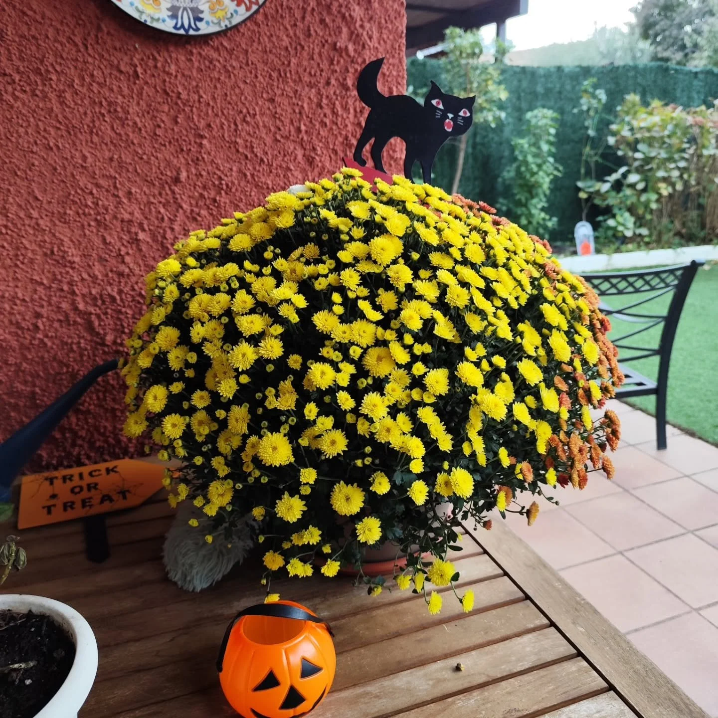 🎃 Halloween en casa 🎃 Este a&ntilde;o celebramos Halloween como m&aacute;s nos gusta: rodeados de amigos, risas y buena comida 👻✨
Hicimos truco o trato con los peques, dimos una vuelta por el barrio (&iexcl;qu&eacute; disfraces m&aacute;s divertid
