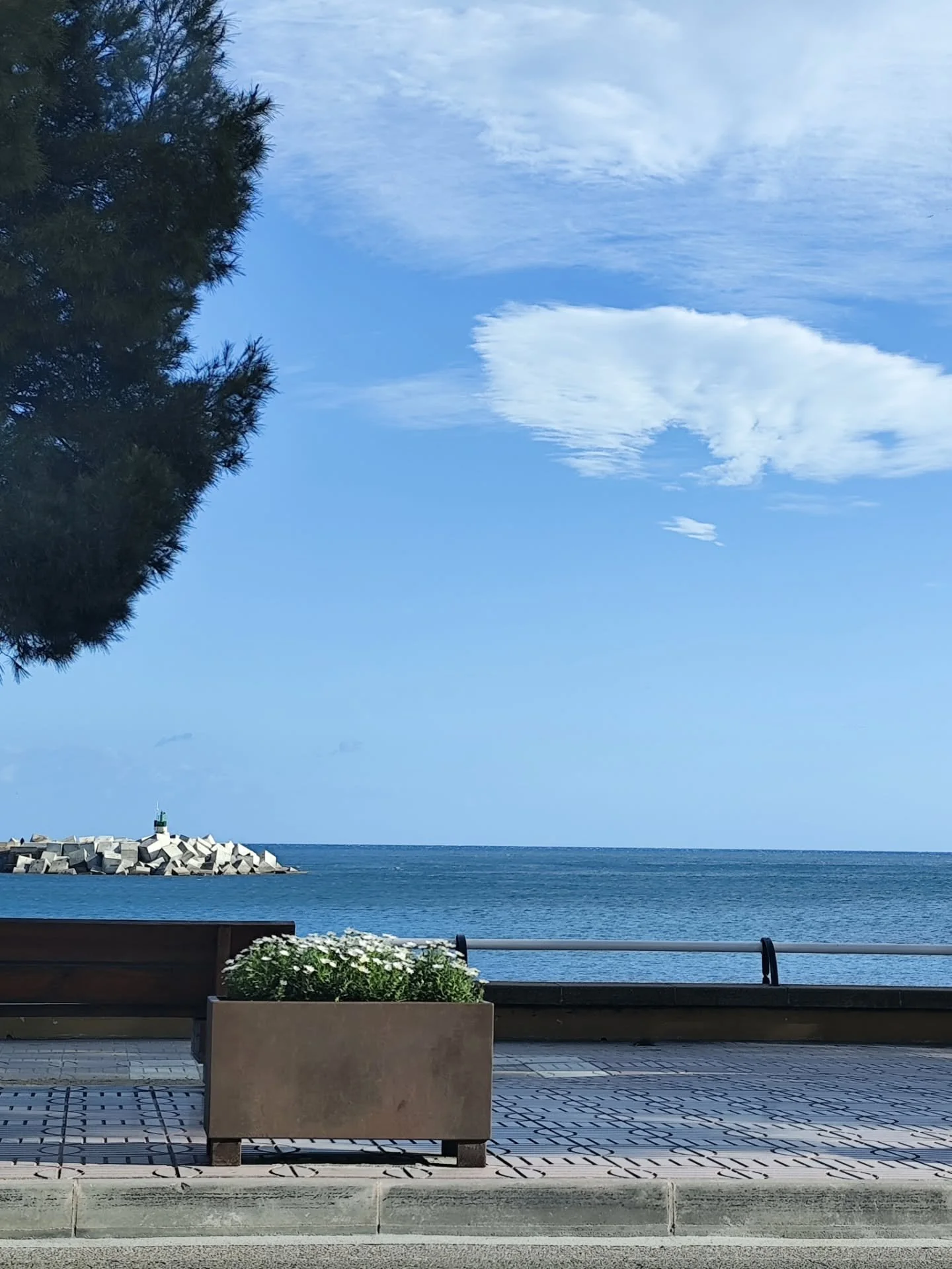 Semana Santa, en pausa&hellip; pero guardada en bonito 🤍

D&iacute;as de casa, de luz suave entrando por las ventanas, de peque&ntilde;os detalles que lo hacen todo.
Flores, rincones especiales, planes tranquilos y tiempo en familia.
Una mezcla de m