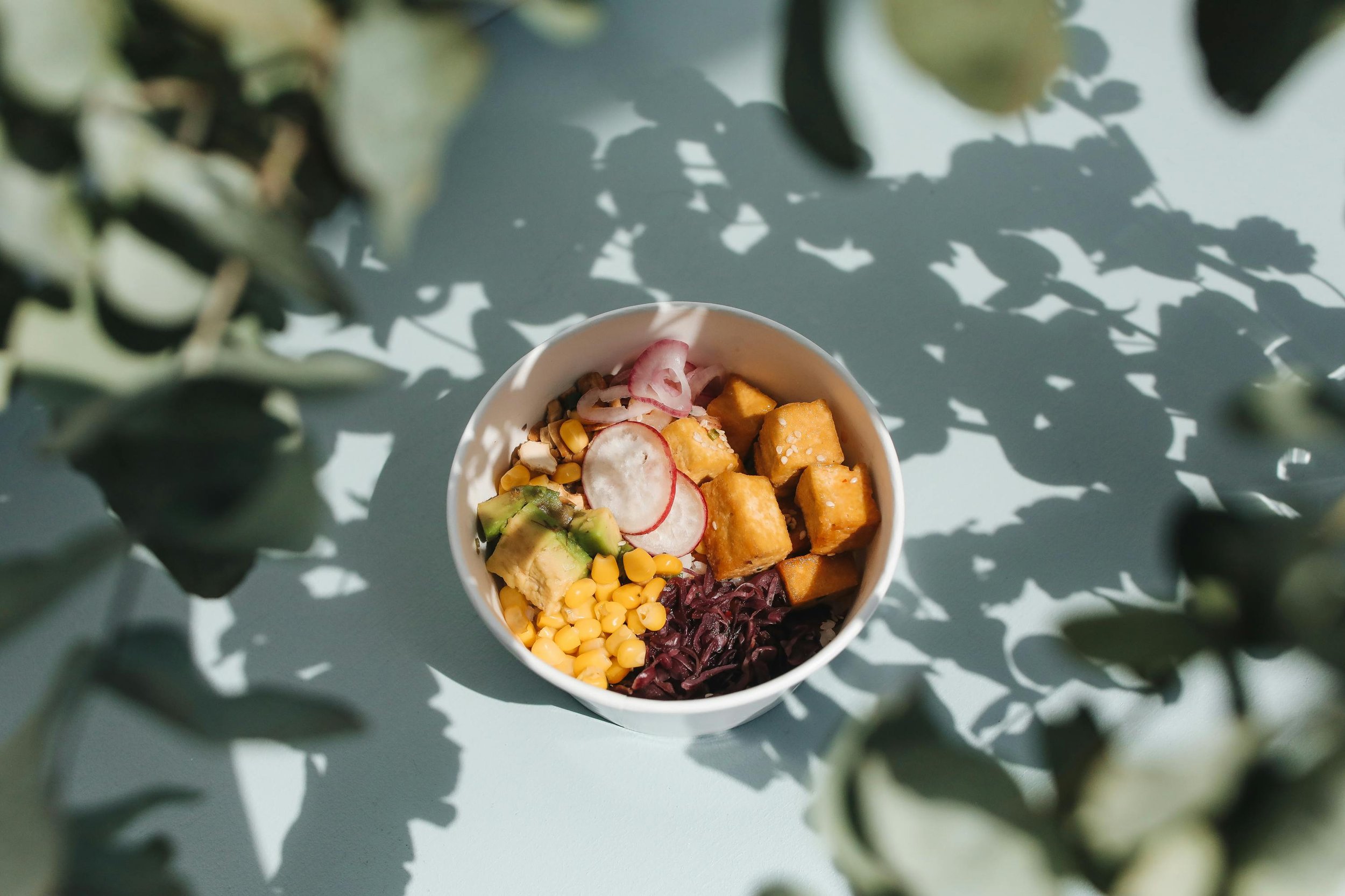 HOLISTIC NUTRITION MAPPING