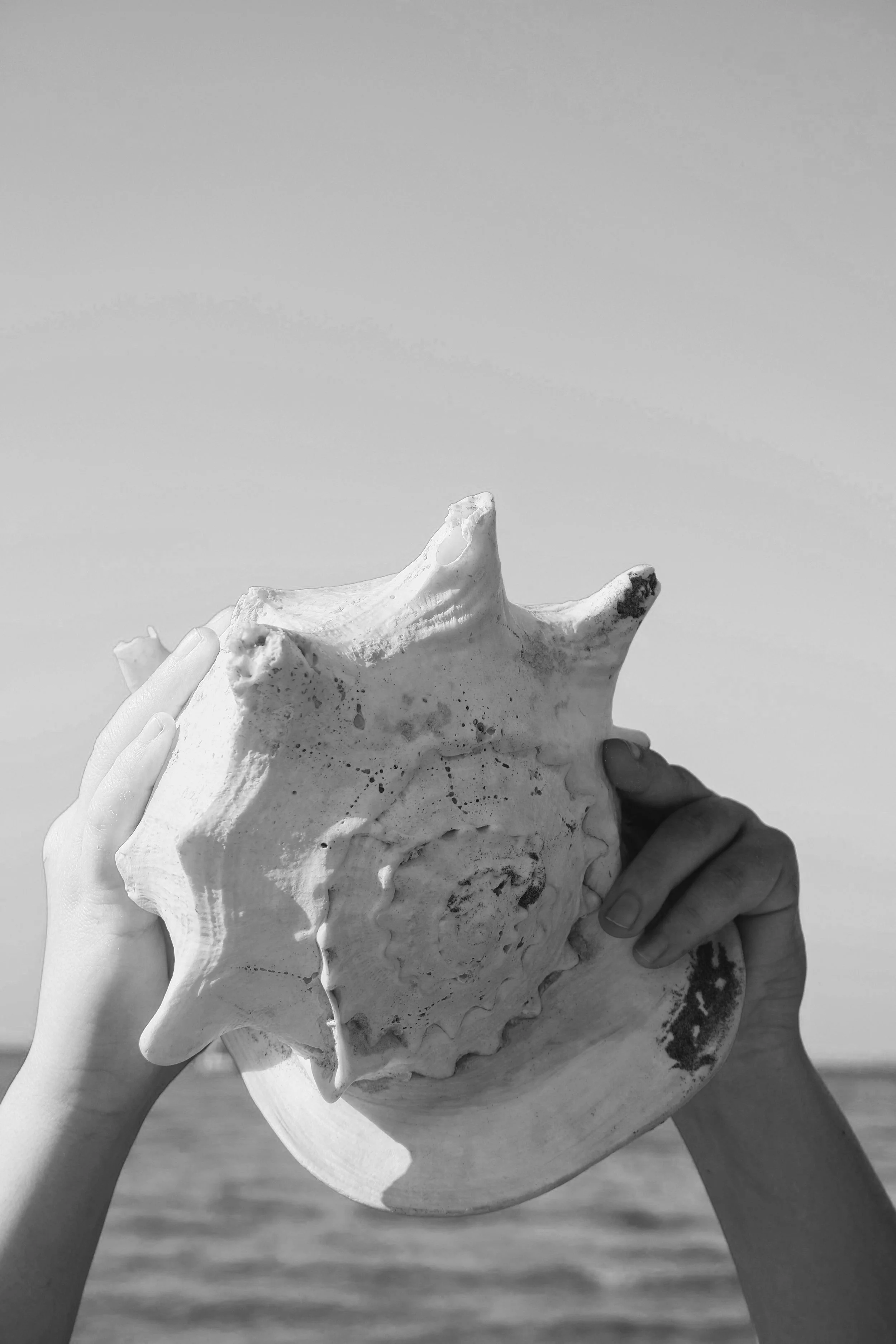 CELLULAR HEALING + DETOX PROGRAM