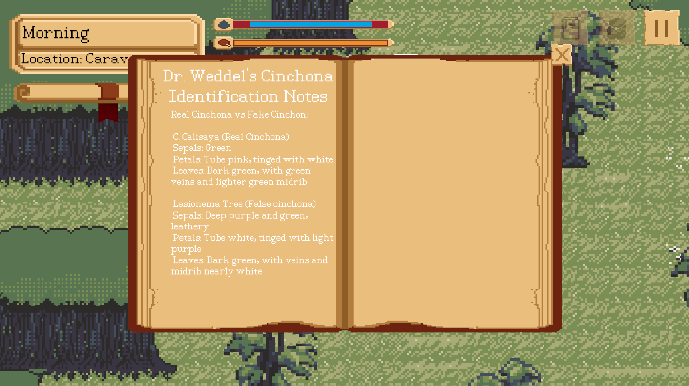 Journal Description of Cinchona Image.png