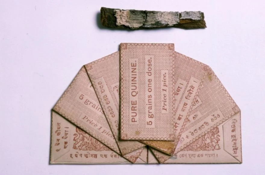 Packets of Quinine.jpg