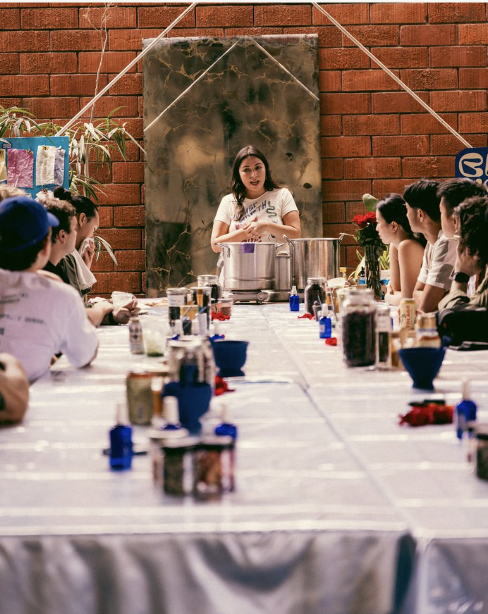 plant dye class 2.png