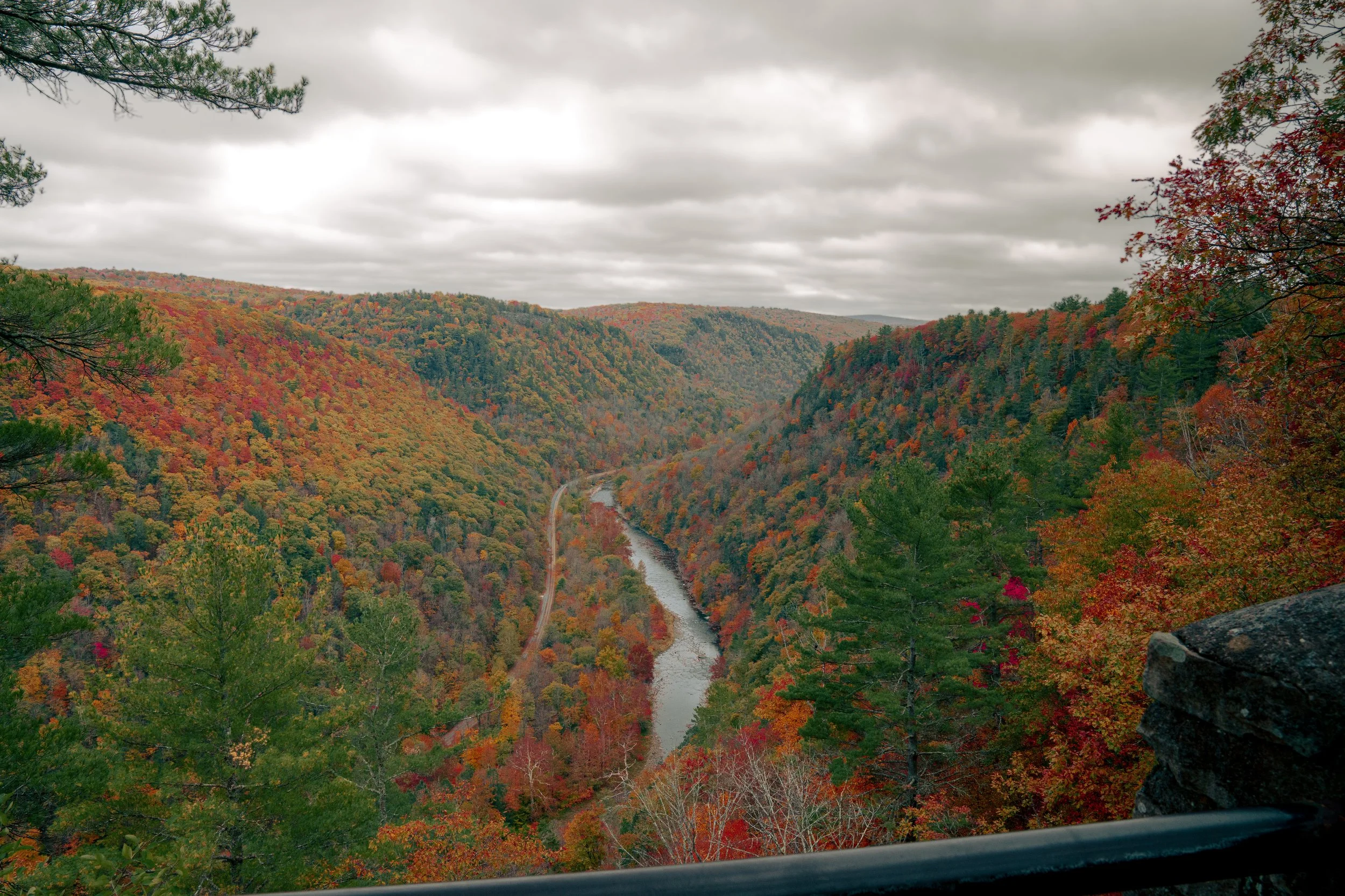 PAGC - Fall 22'-01.jpeg