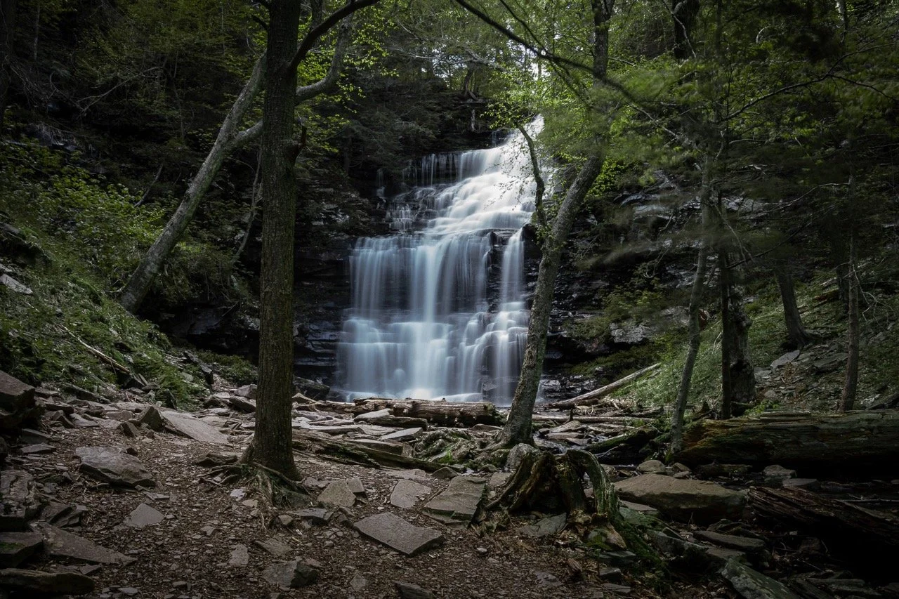 RG 22'-18 Large.jpeg