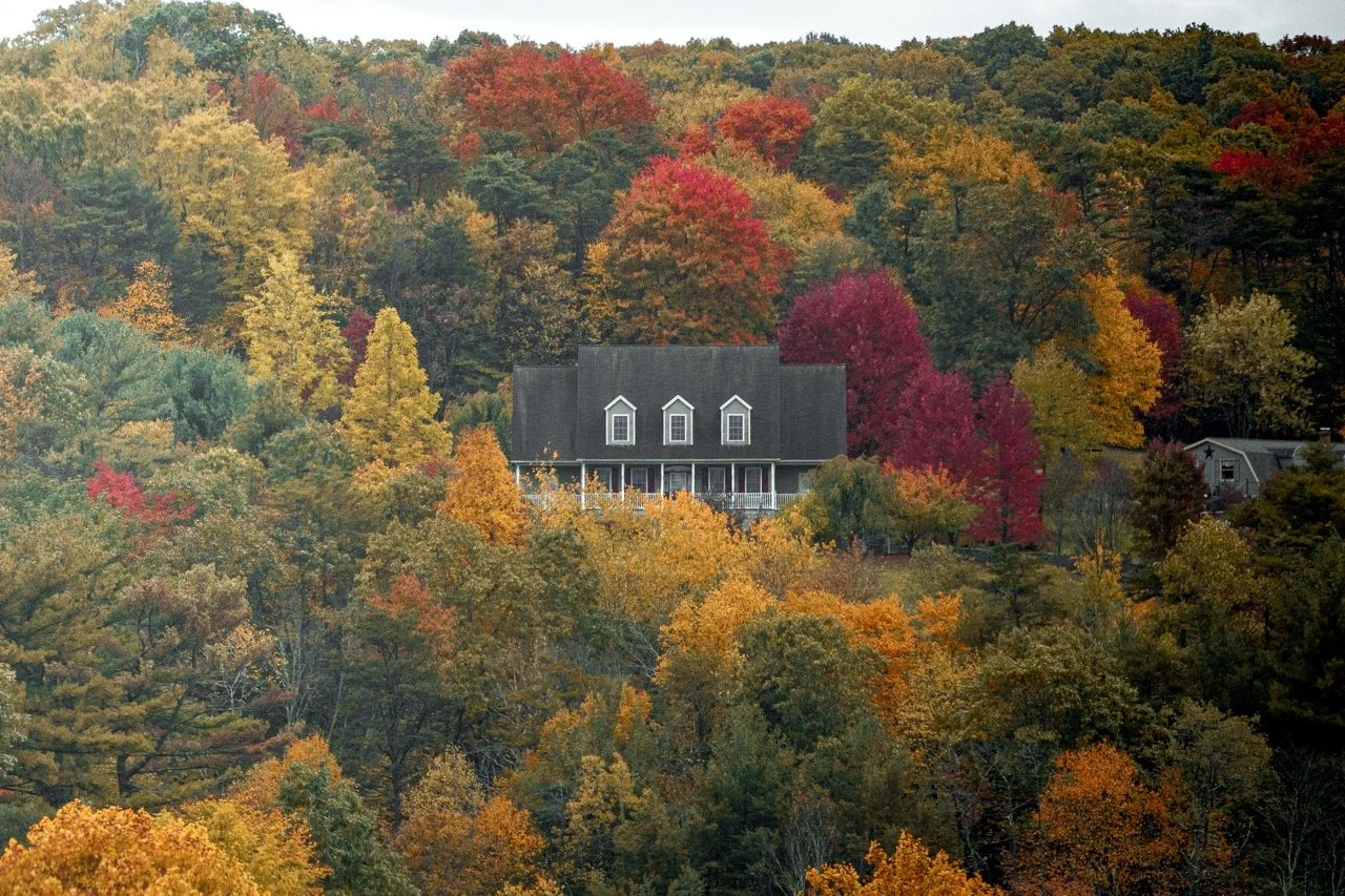 PAGC - Fall 22'-16 Large.jpeg