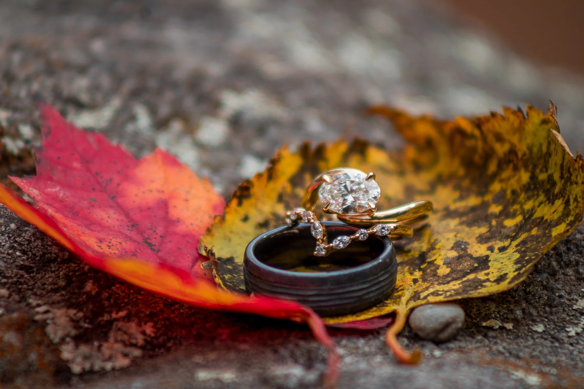 JJ Maternity Portraits-216.jpg