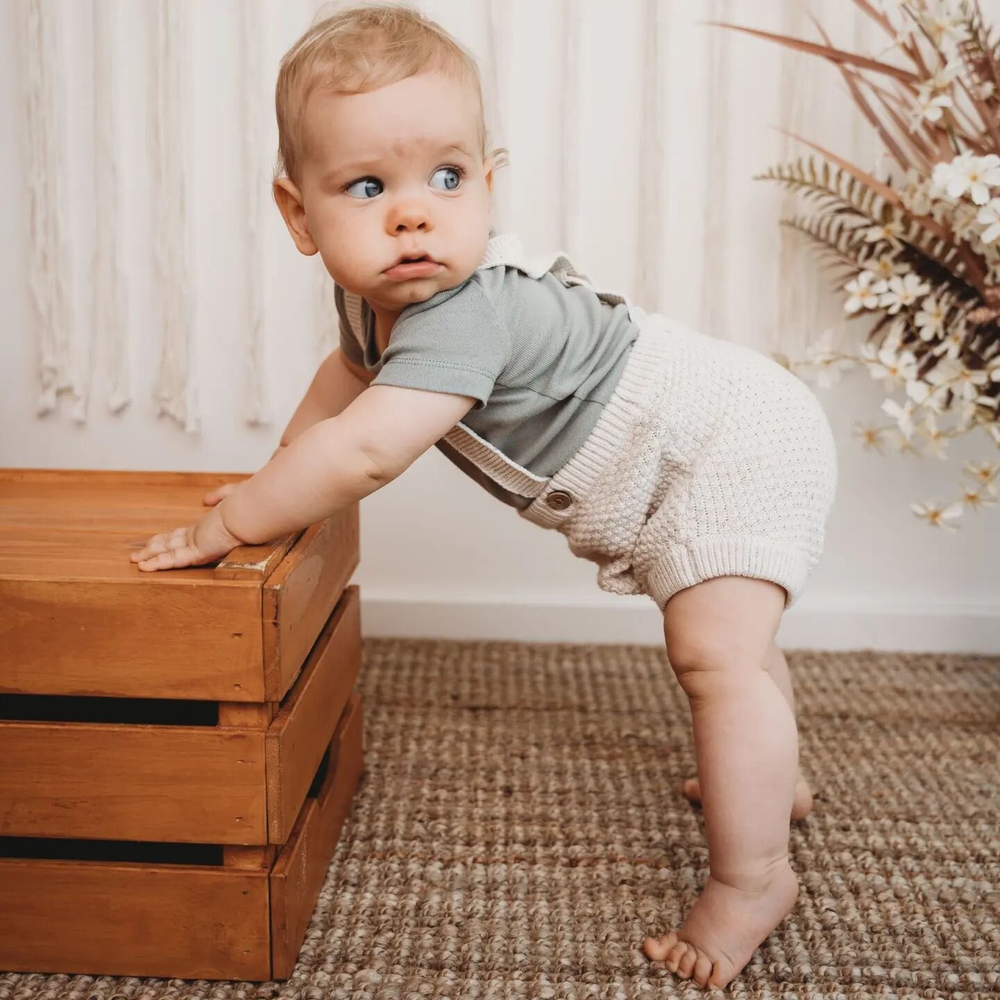 Look at this clever little cutie showing us his awesome standing skills! And OMG his eyes!!! 😍😍😍
.
.
.
.
#adelaidefamilyphotos #adelaidefamilyphotography #adelaidemumsandbubs #Adelaideparents #love #family #cutie #theygrowtooquickly #capturingyour