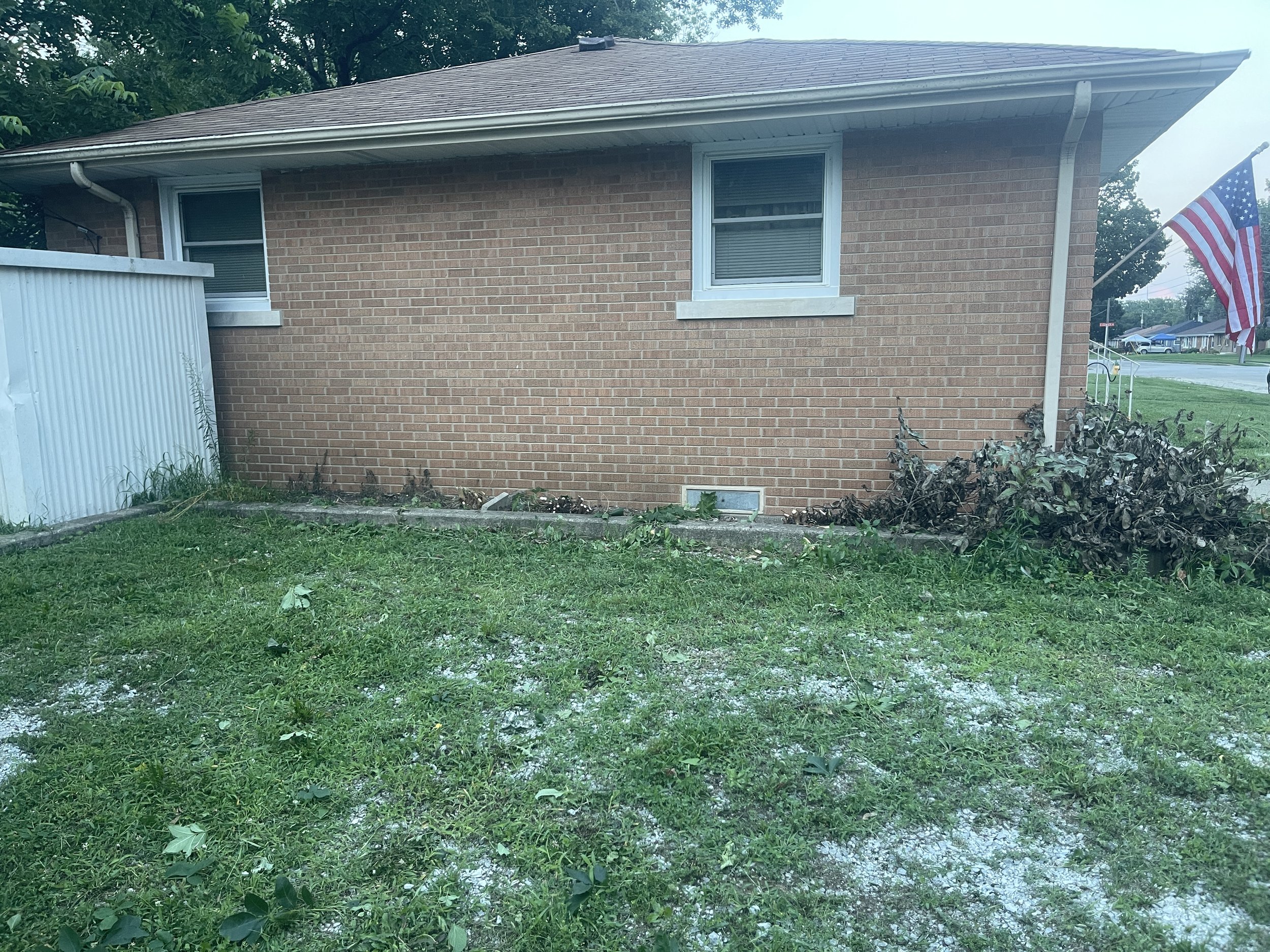 Volunteer Tree Cleanup in Bradley — August 2026