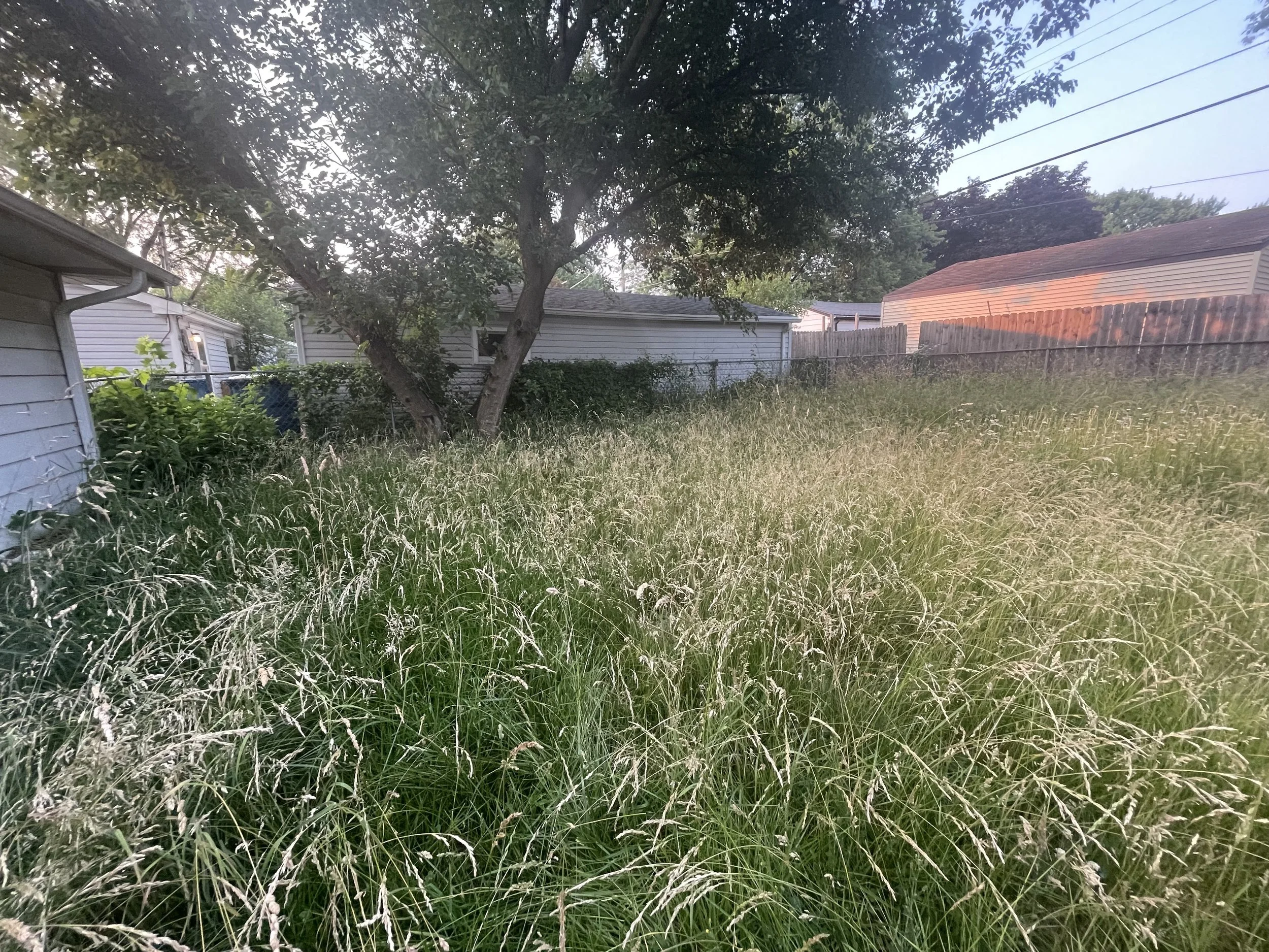 Before: Overgrown backyard with tall grass before lawn cleanup in Bourbonnais, Illinois.