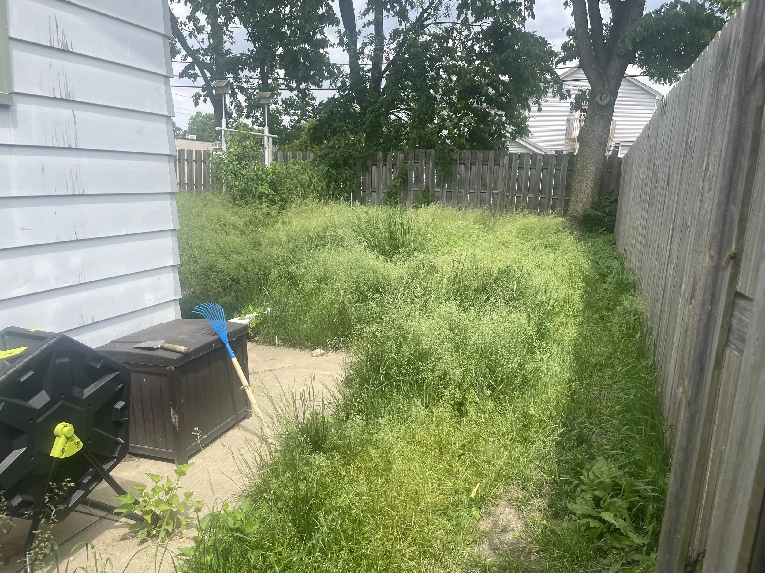 Overgrown grass in the narrow entrance leading into a Bourbonnais backyard, between the house and wooden fence.
