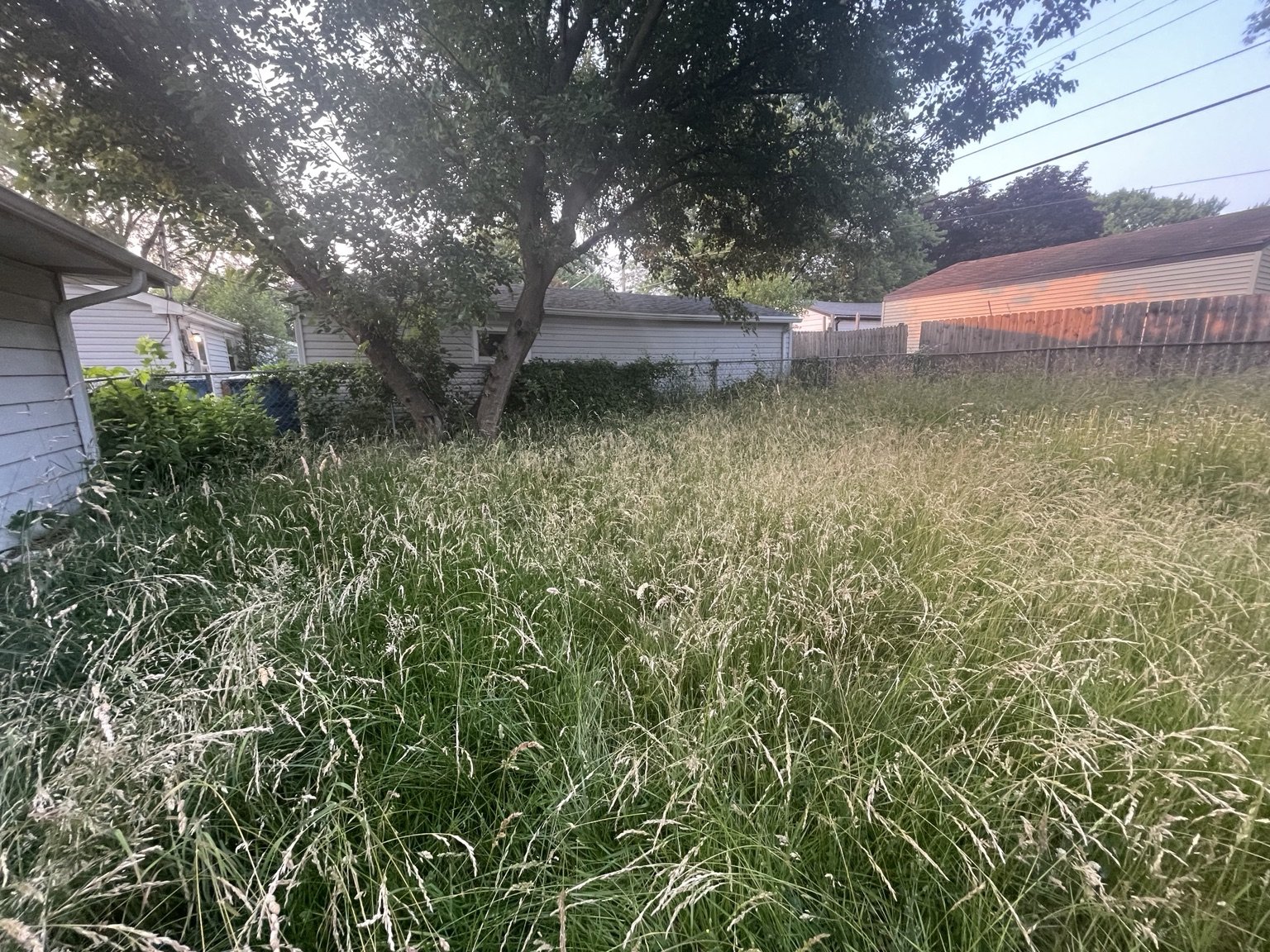 Overgrown Lawn Cleanup in Bourbonnais — June 2023