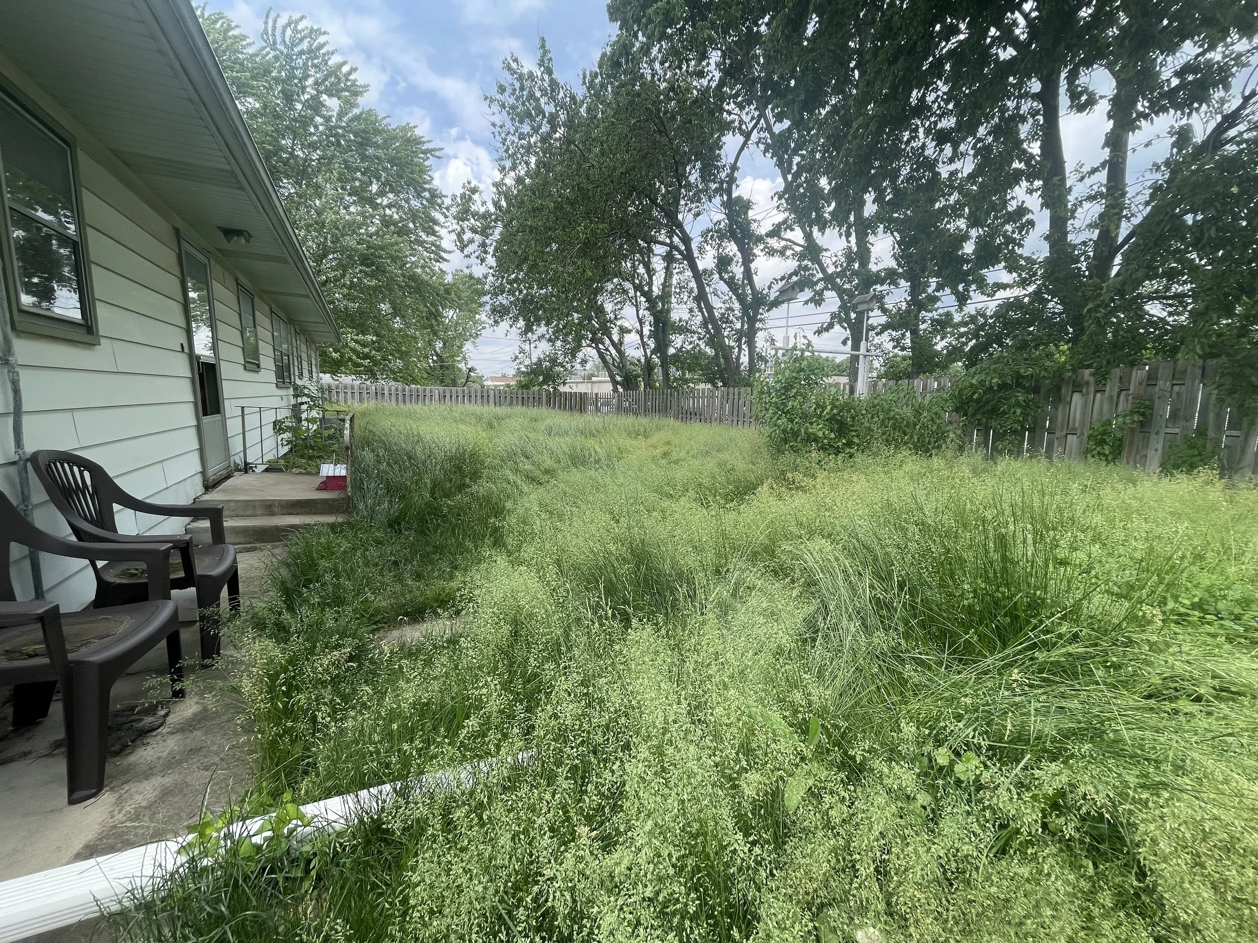 Backyard Lawn Cleanup in Bourbonnais — May 2024
