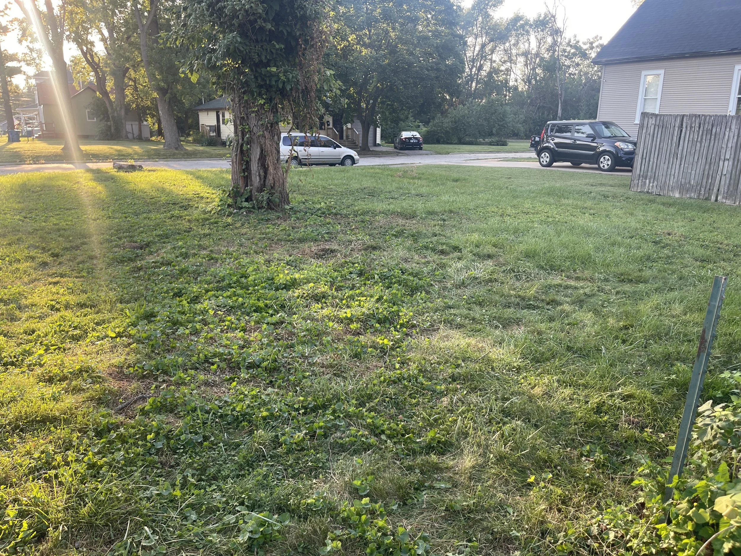 After: The same Kankakee lawn after fallen branches were removed and hauled away.