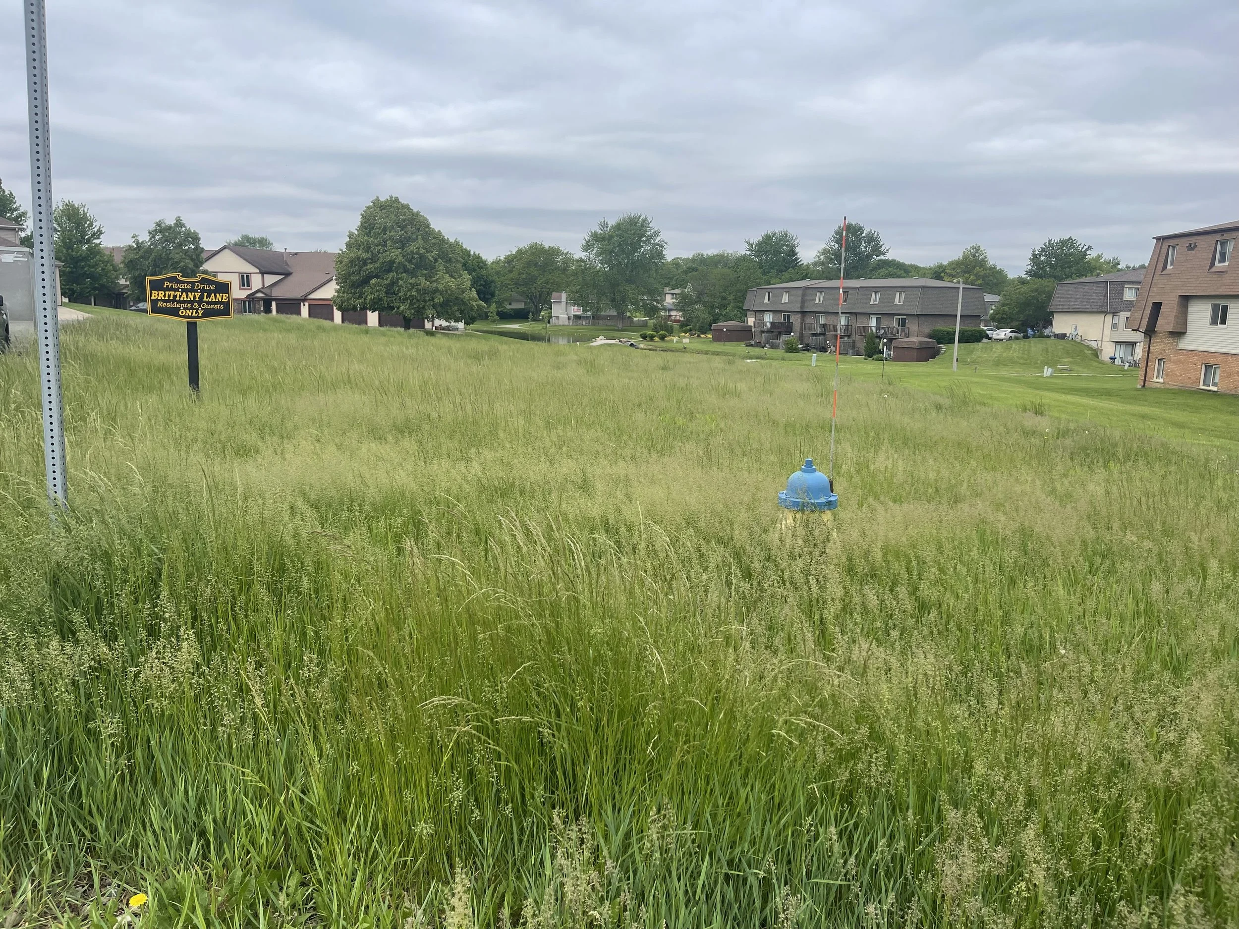 Before: Tall grass surrounding a fire hydrant on an overgrown vacant lot in Bourbonnais, Illinois.