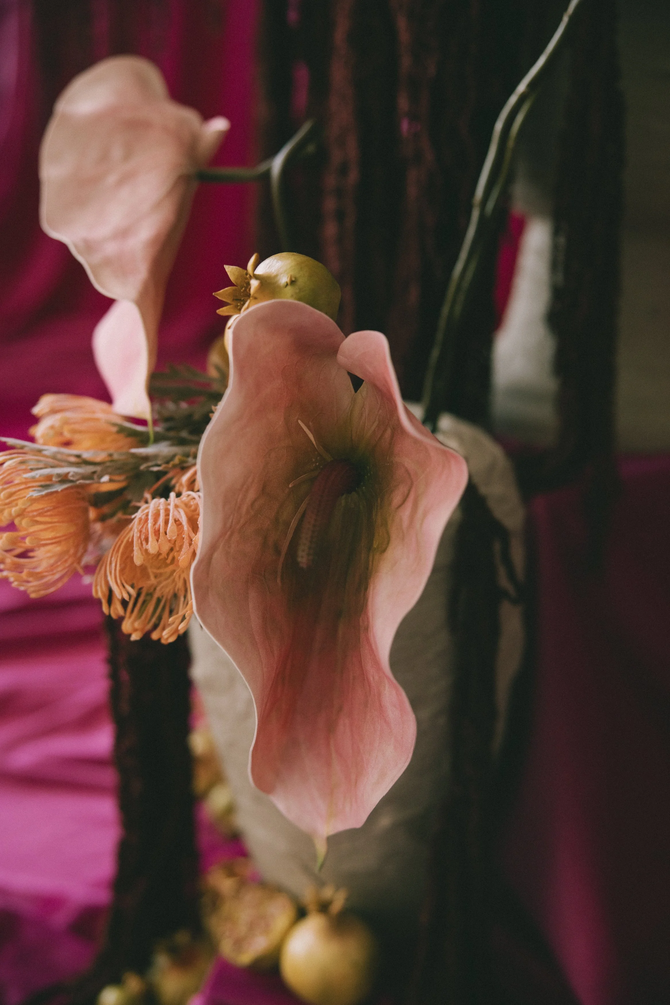 R5C_0287.jpg