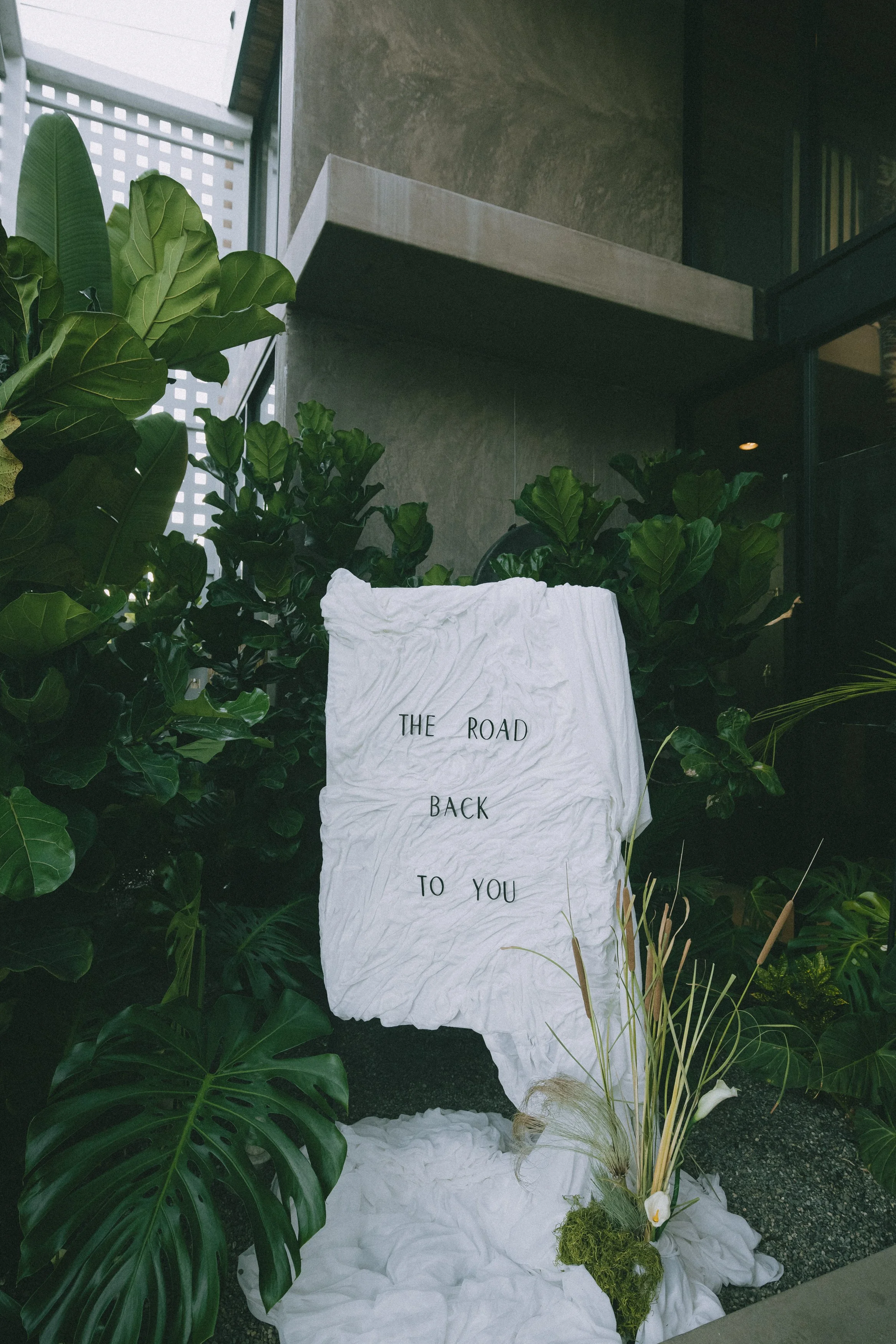 - (11 of 17).jpg