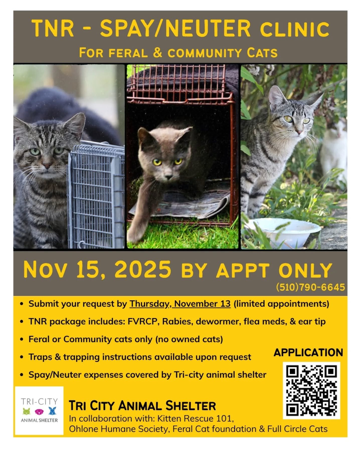 Wow! 90 TNR appointments in one day! We've been collaborating with the @tricityanimals and released a Google form for requests just this past Sunday. By Tues, all 90 slots were filled. This is how badly Fremont has needed TNR for our community cats! 