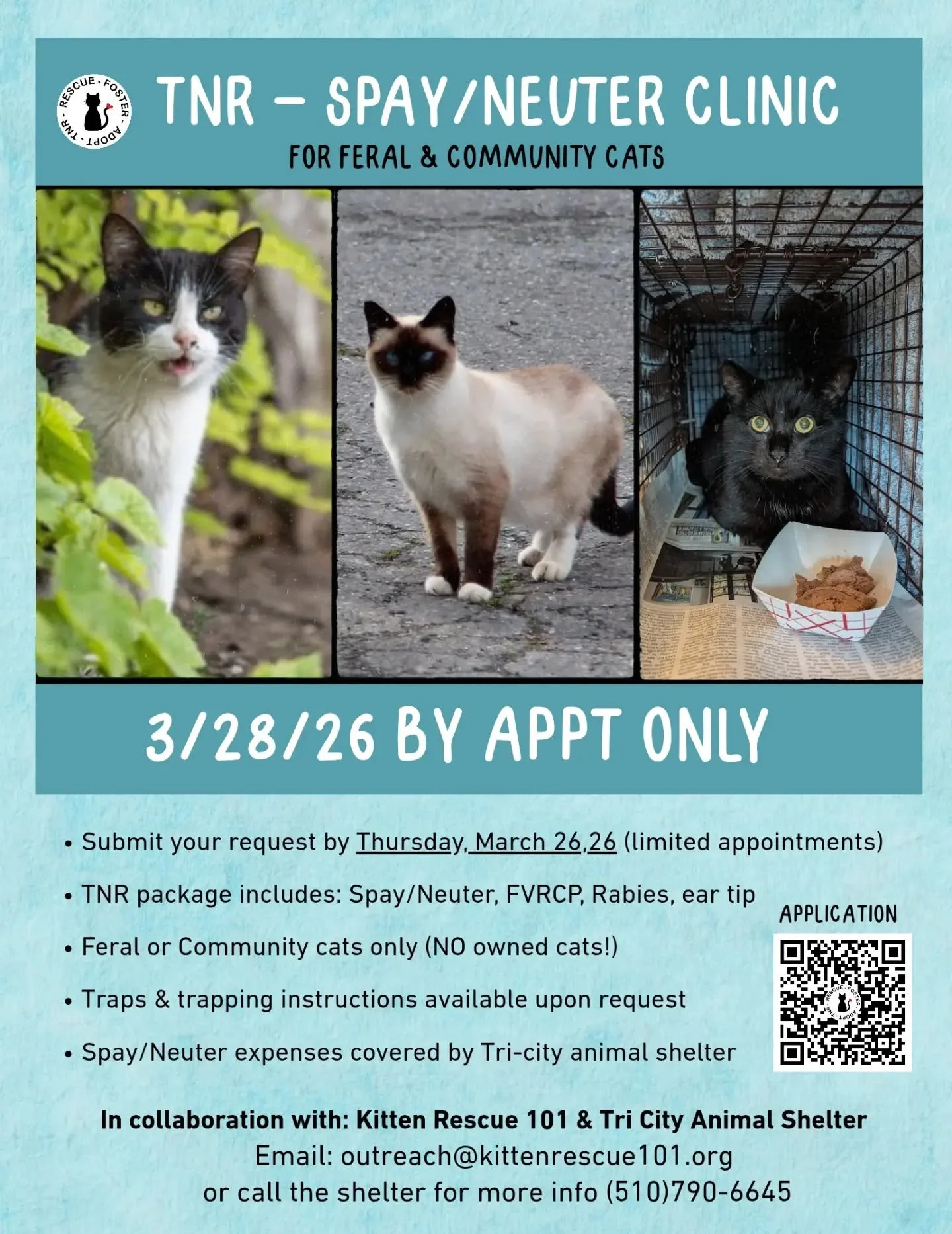 We are back at it! We are coordinating another high volume spay neuter clinic day in collaboration with the shelter to get Fremont community cats fixed! Last time we fixed 84 cats in one day! It was a lot- so this time, we'll be a little less crazy. 