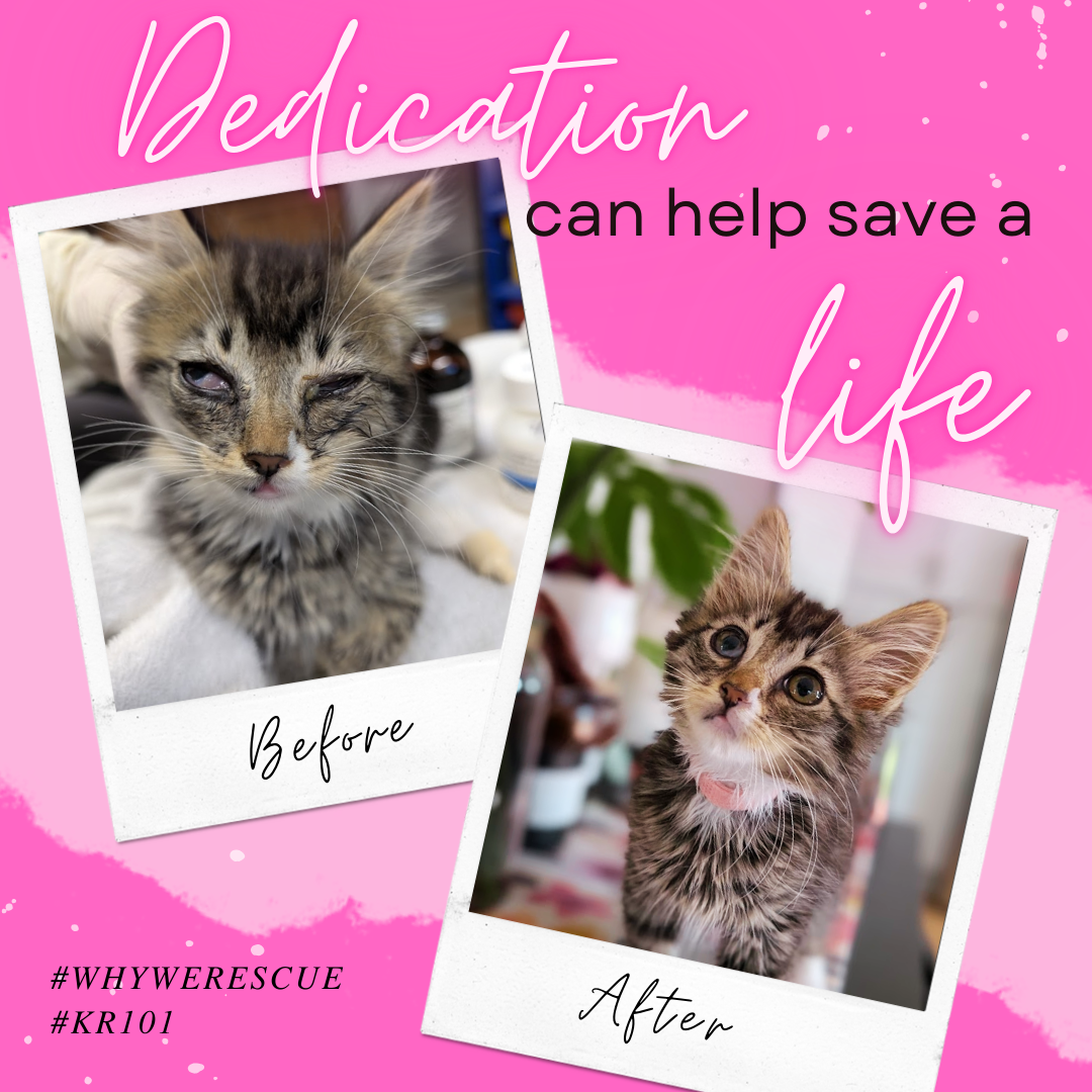 Before and After 1.png