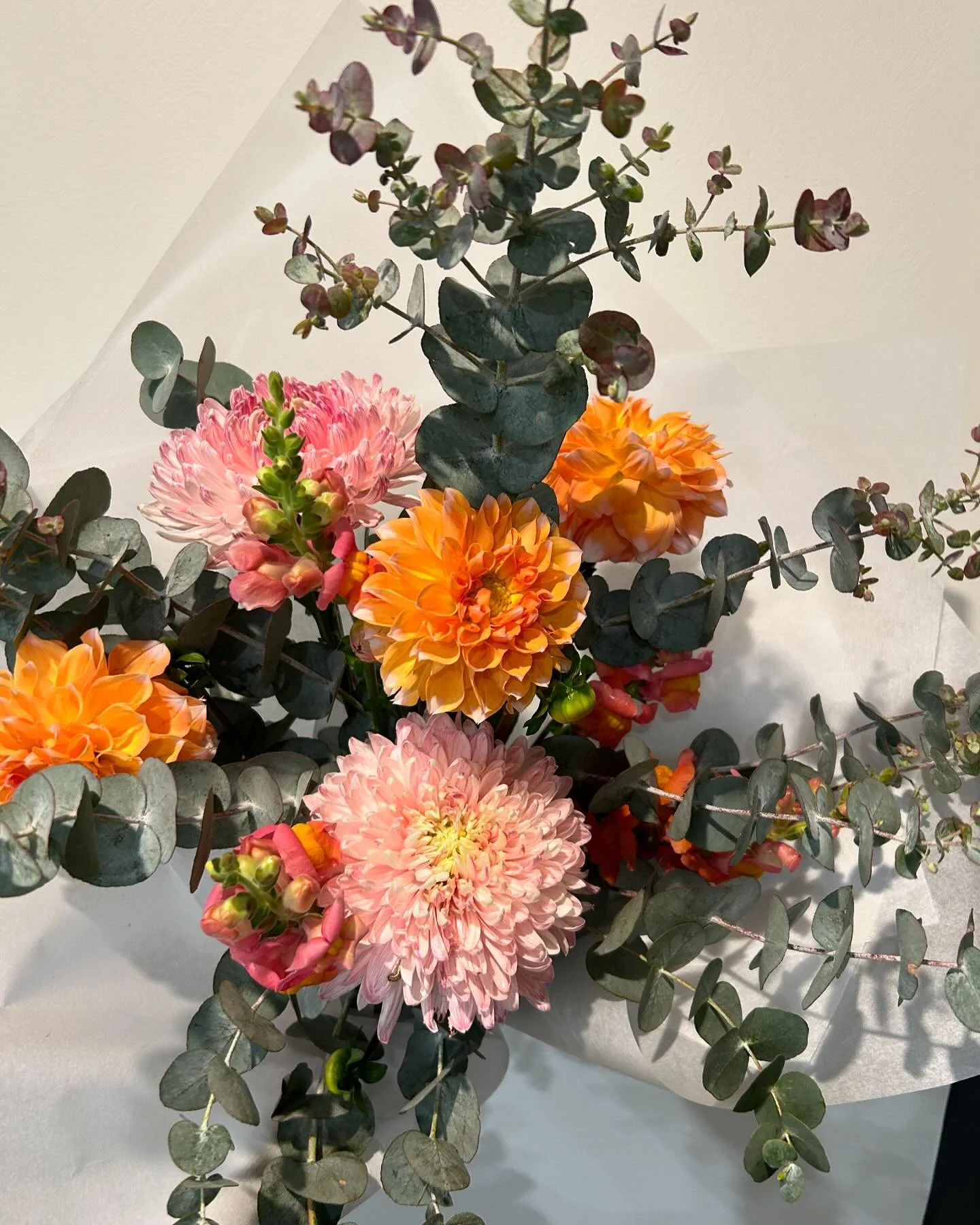 Spring Brightness 
#noosahouseofflowers#noosaflorist#dahlia#springflowers#noosavillage