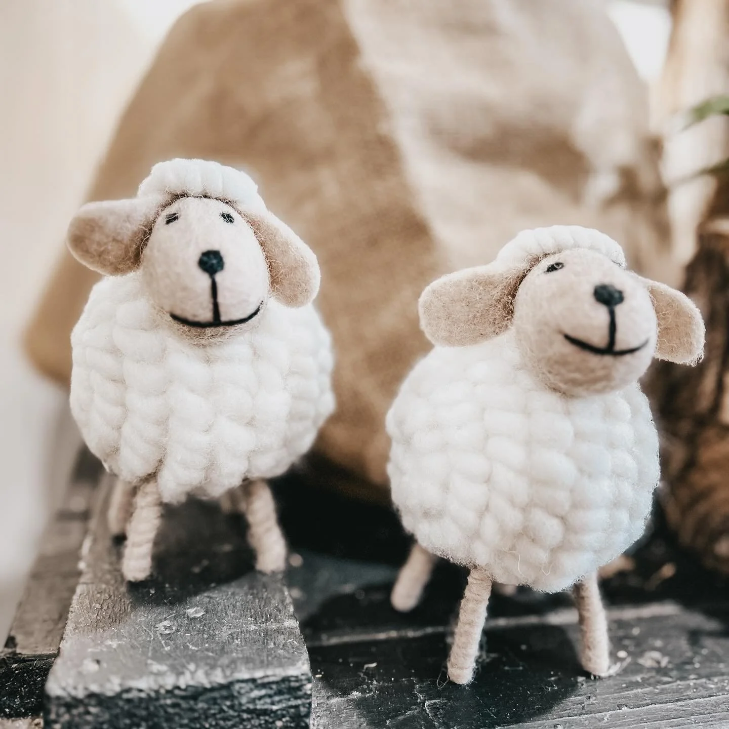How sweet are these little guys! #giftwares #noosagifts #noosaflowers #noosaflorist #noosaville #sheep