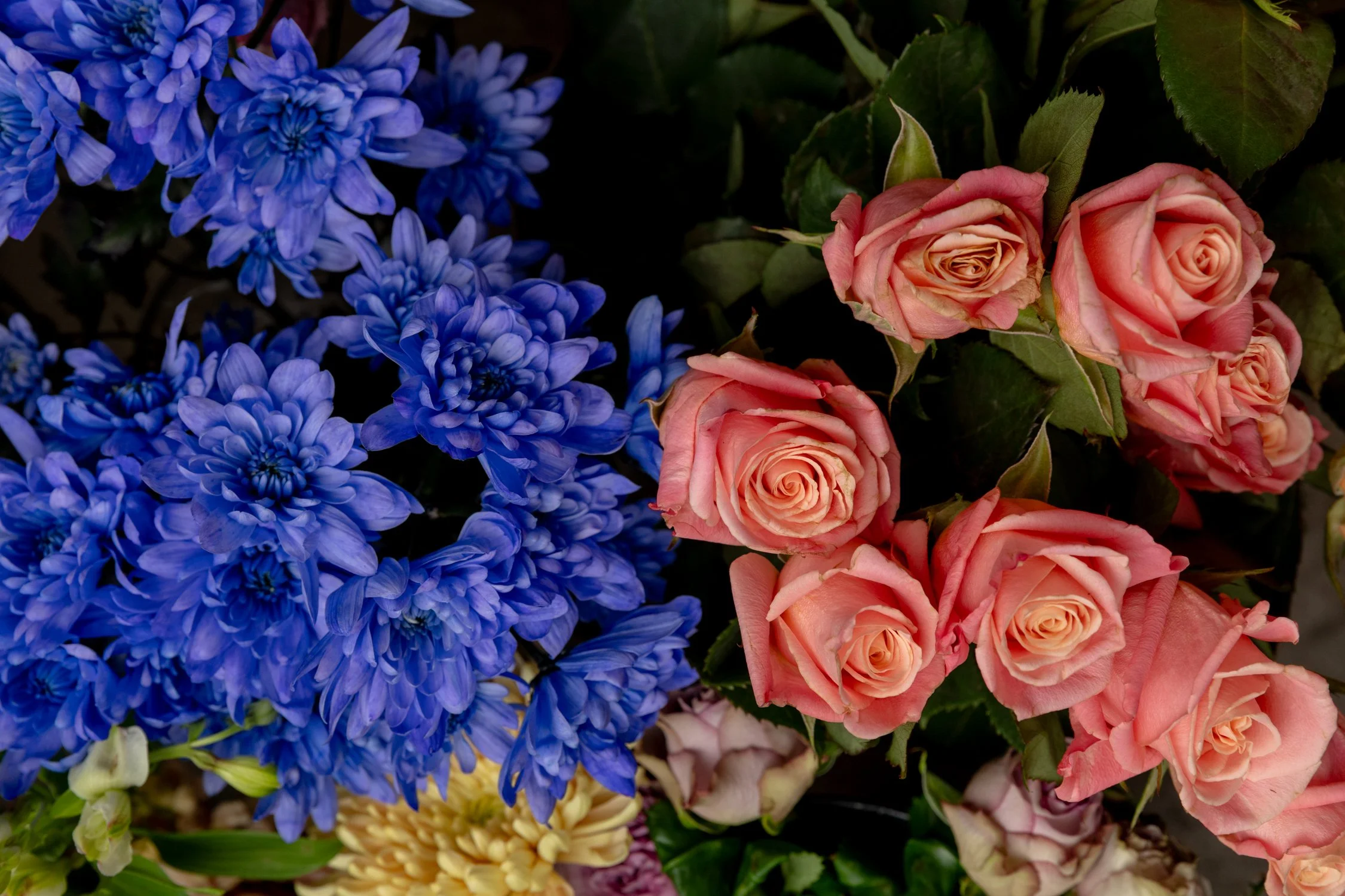Noosa House of flowers_web-70.jpg