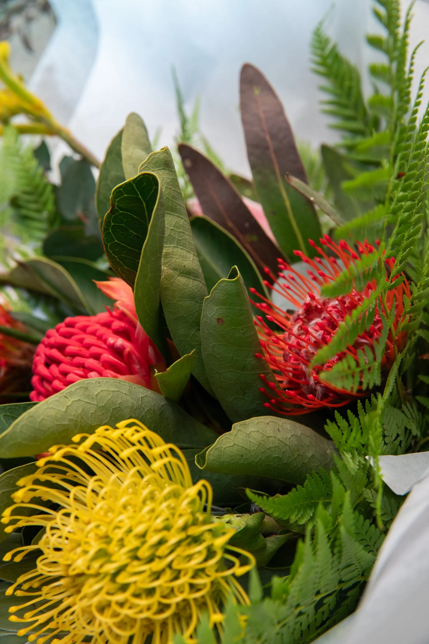 Noosa House of flowers_web-52.jpg