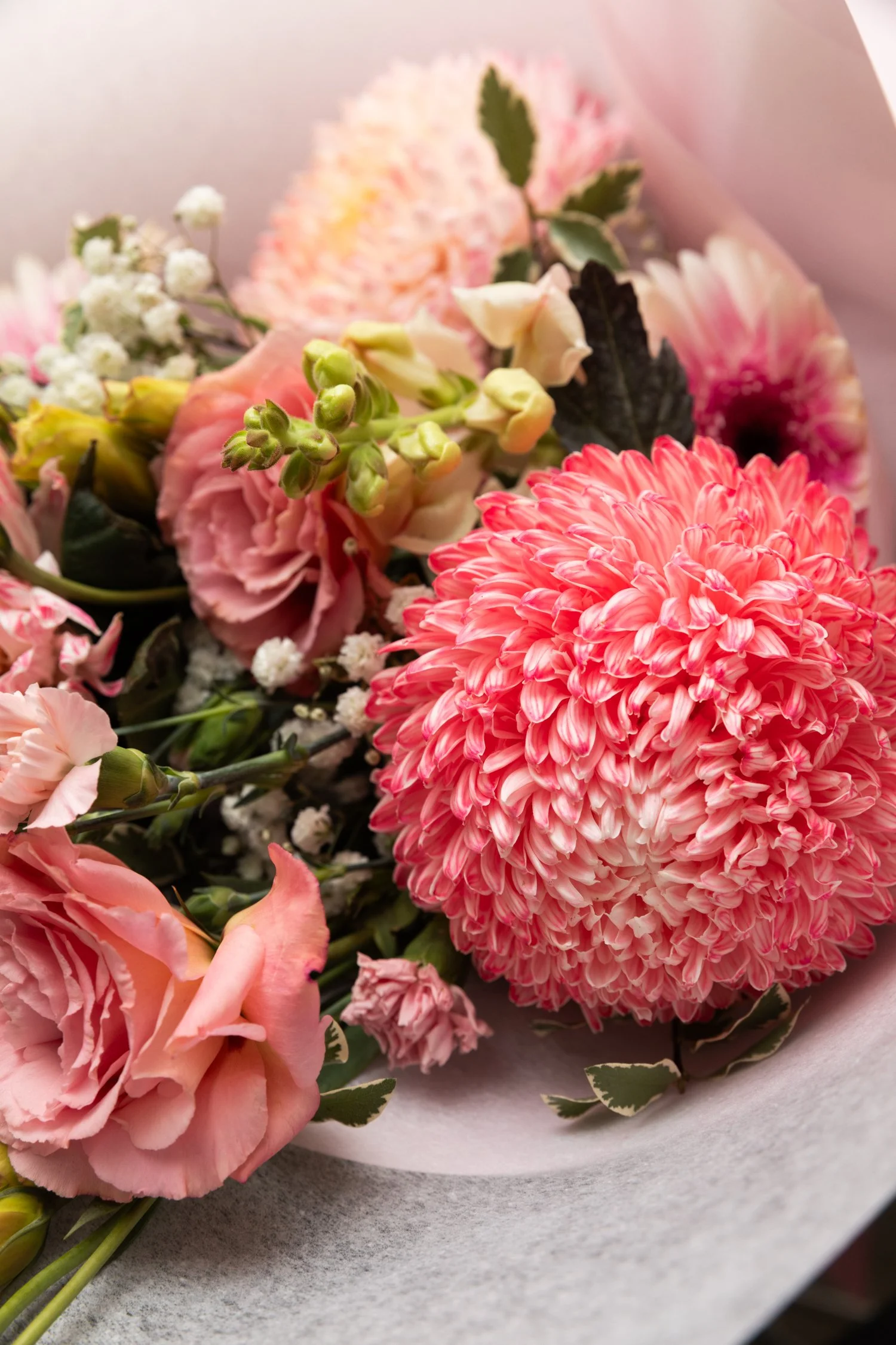 Noosa House of flowers_web-51.jpg