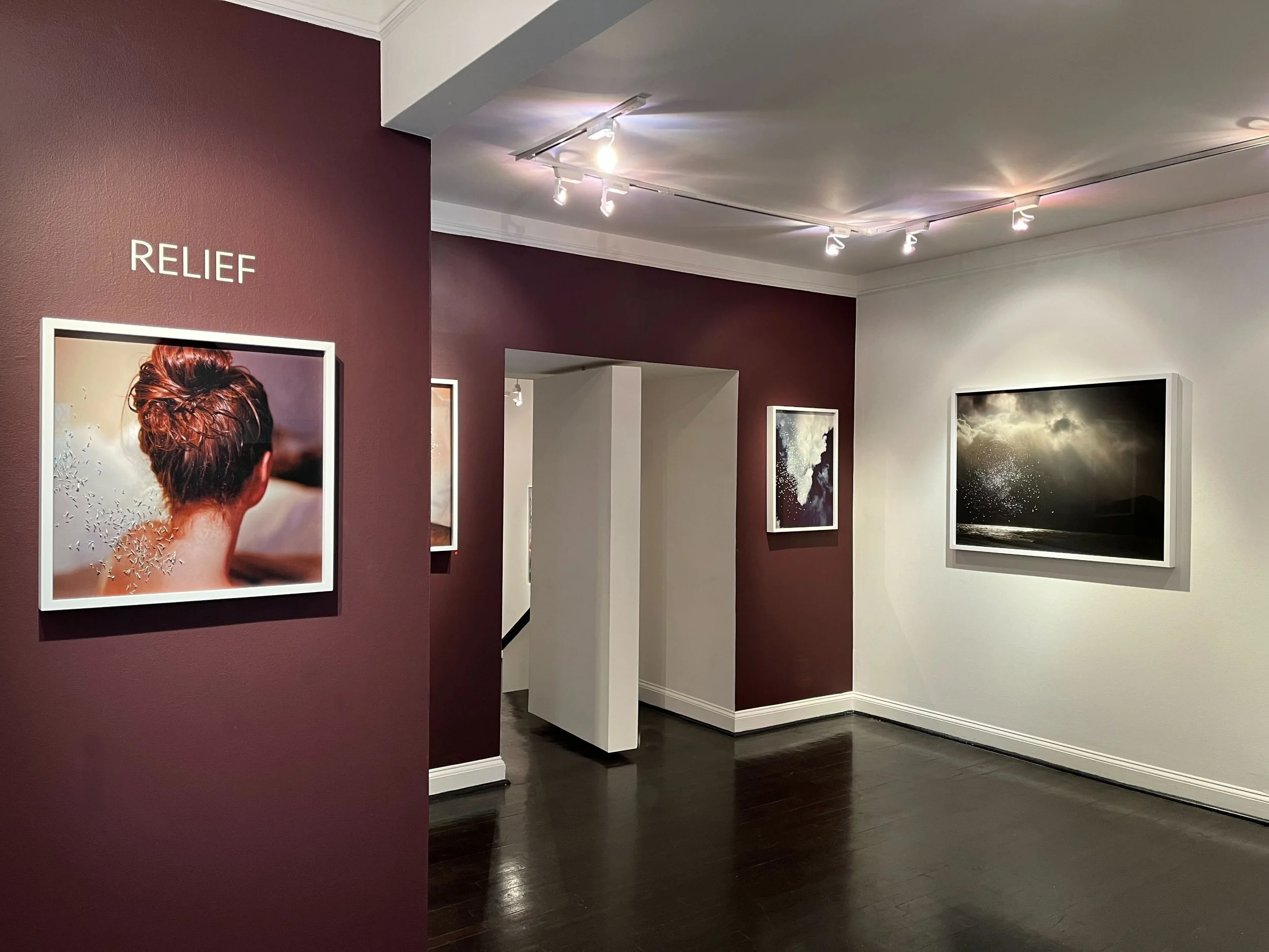 fine art photography, art exhibition