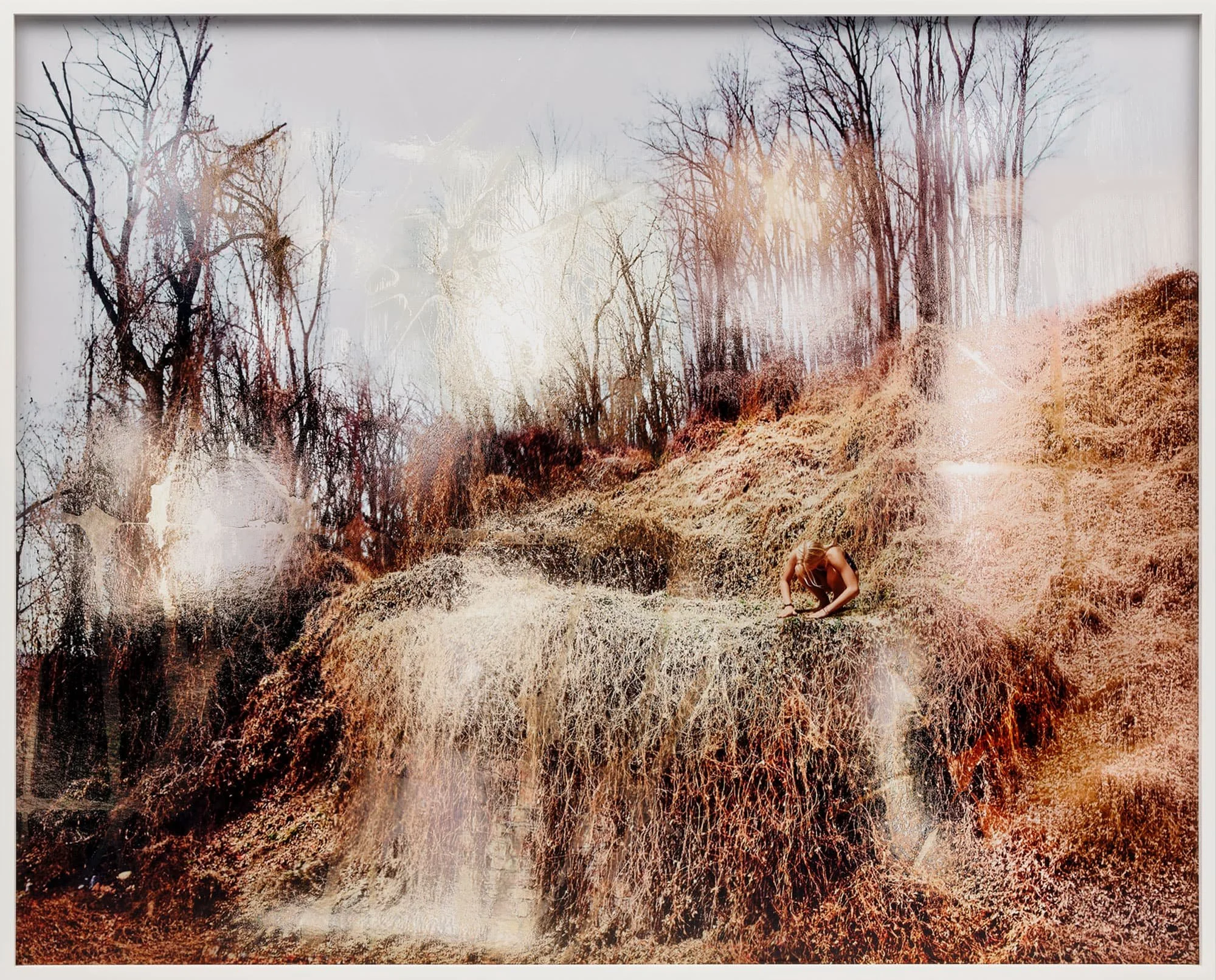 The Arrow, 2025, Archival pigment print