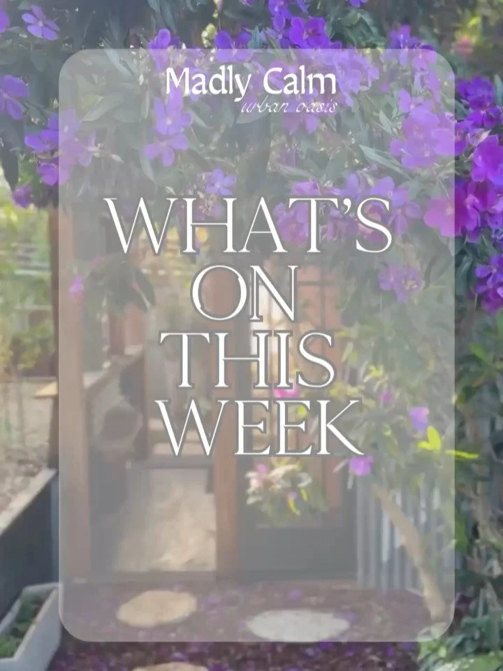 This week&rsquo;s times and sessions.
Booking link in BIO or simply reach out if you have any questions.
Athalee💜