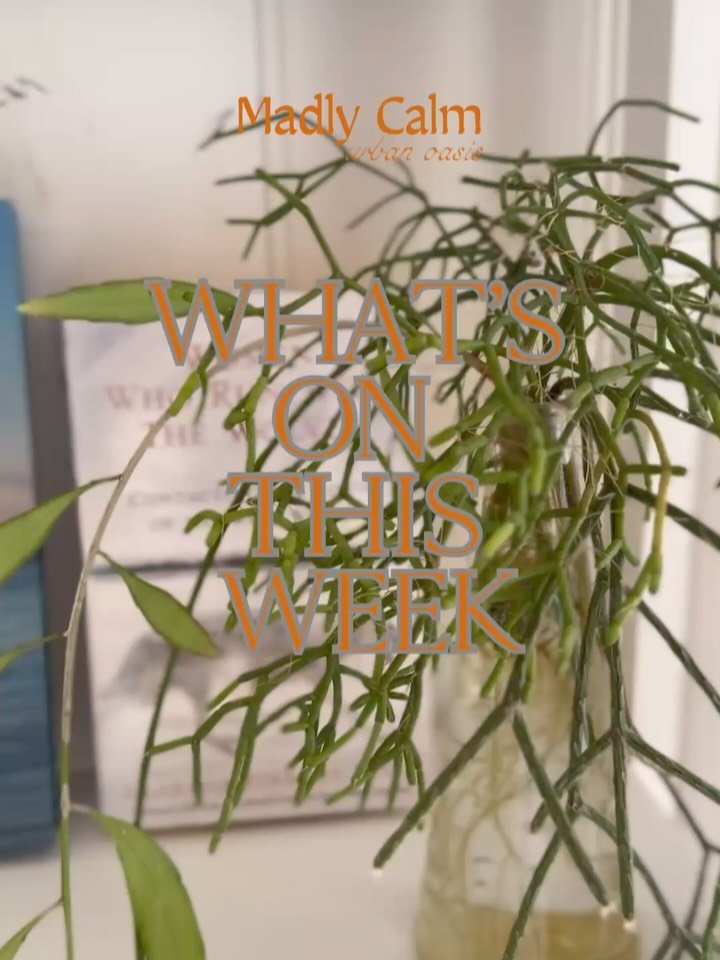 A GENTLE REMINDER::
Your nervous system needs a little extra some care this week, it will help you to ease into the Christmas season more rested &amp; calm.
Athalee 💜