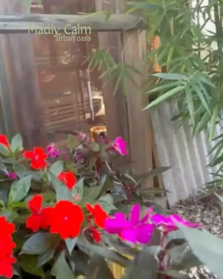 Begin your year by making REST as important as your exercise routine.

🌞more awareness &amp; nurturing of your  inner landscape.

🌝 tend more to your nervous system.
.
💫 listen &amp; feel your breath

✨your body &amp; mind will respond in magical 