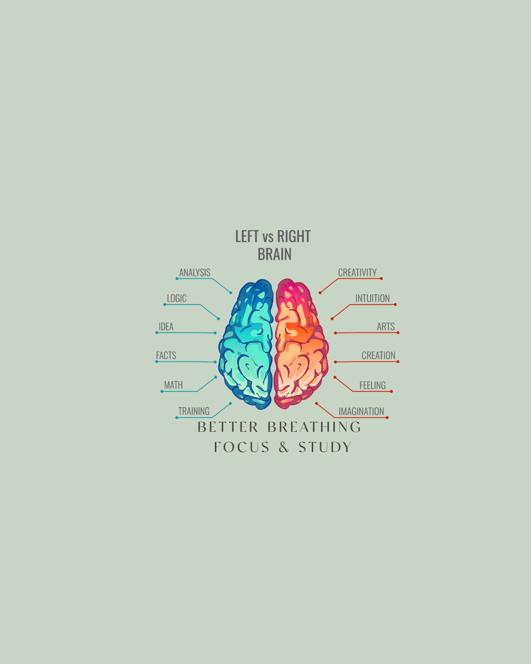 Better Breathing for Focus &amp; Study 