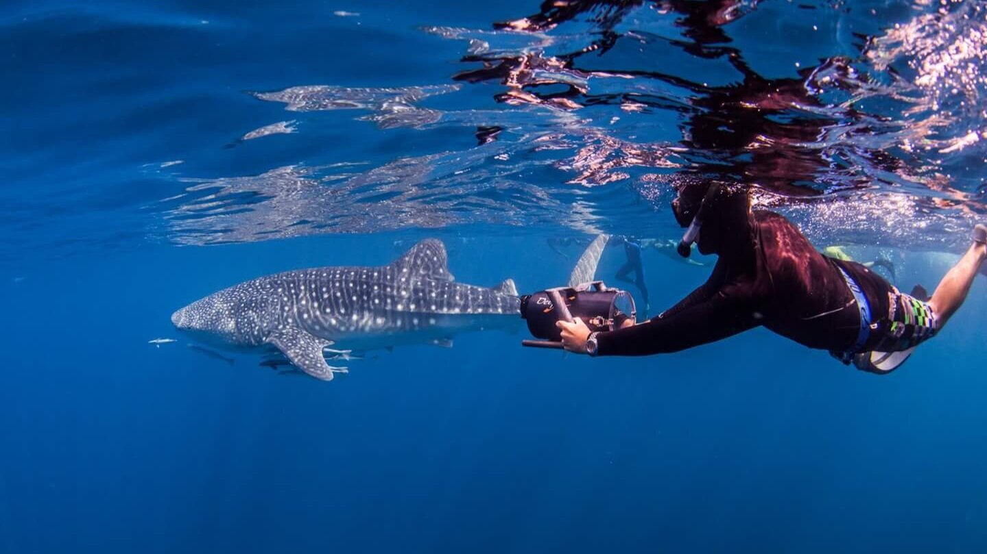 Ed Filming Whale Shark in Ningaloo Reef, Western Australia with RED Epic Dragon 6k
