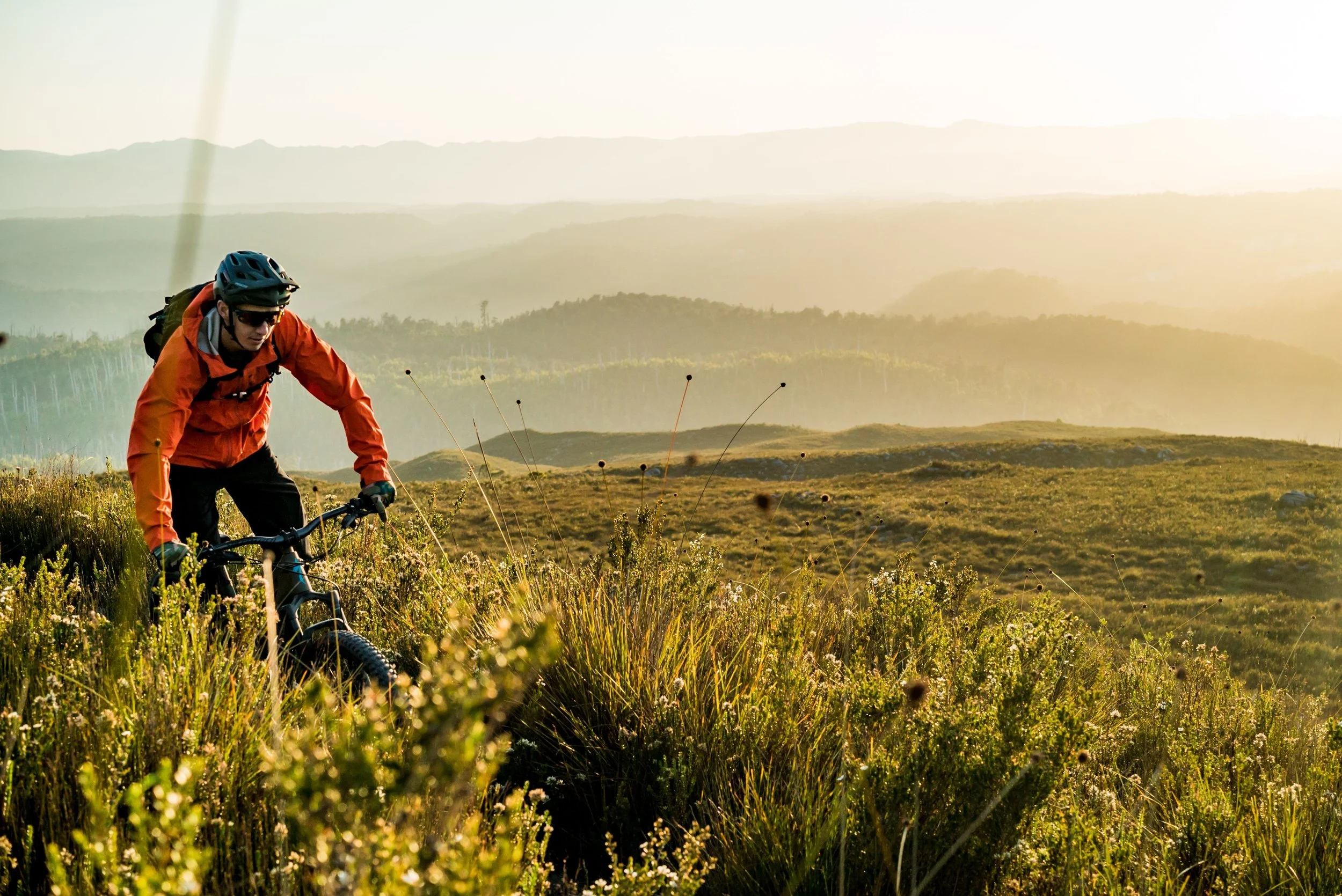 Maximising the value of Mountain Biking Tourism to Tasmania’s economy
