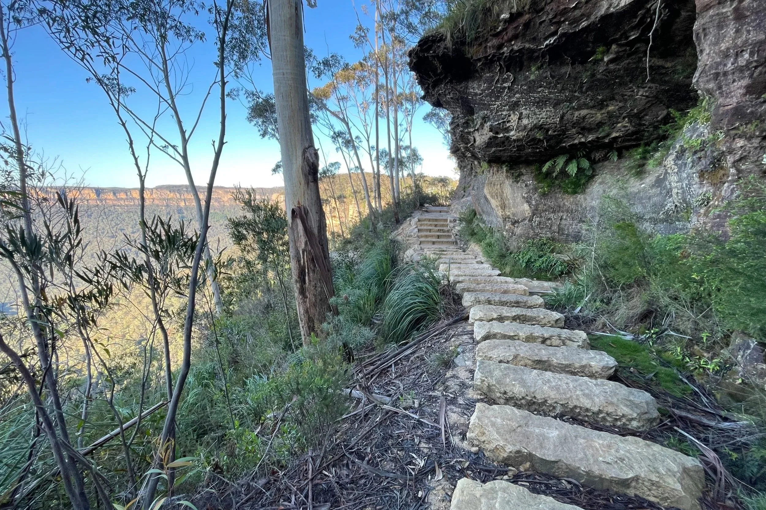 Grand Cliff Top Walk Blue Mountains