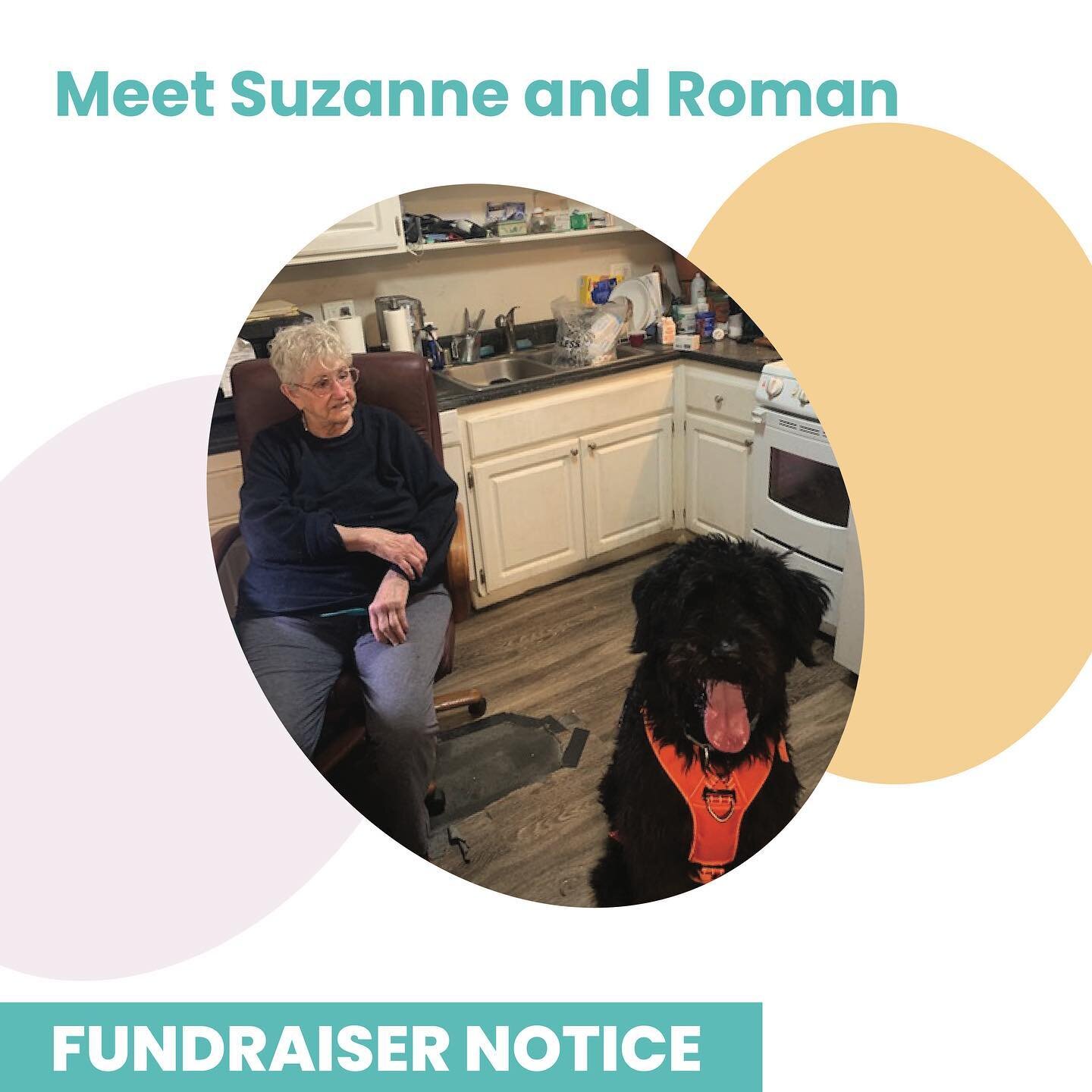 Fundraiser Notice: Help Support Suzanne and her baby Roman 💛

Meet Miss Suzanne (84 y/o) and Roman, a 5 y/o schnauzer /poodle mix she had adopted from the local humane society when he was about 6 months old. Having lost her only son, with no other f
