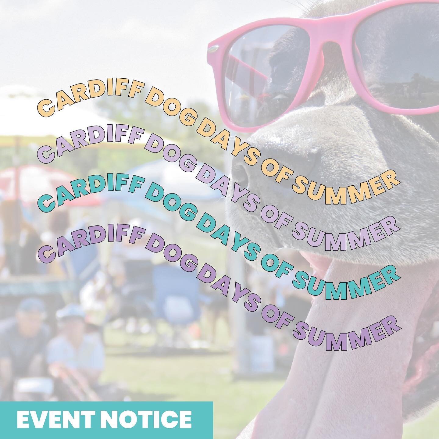 Event Notice: Cardiff Dog Days of Summer 💛

Cardiff Dog Days of Summer is a free one-day festival celebrating our favorite four legged friends. There is something for everyone, including dogs and dog lovers! 🐾🐶🐱💜

This Sunday, August 8th, Paws4E