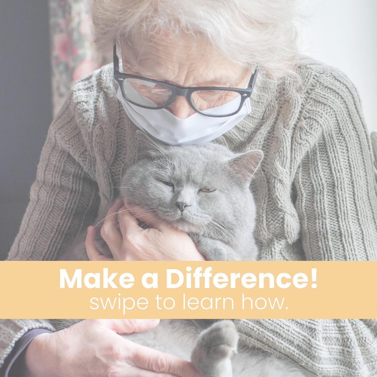 Whatever it is, the smallest action can go a long way. 💛 100% of your donations will go to program services that impact the lives of seniors and the animals they love. 💜🐾 #paws4elders 

Swipe to see our QR code, or visit our website to learn more 