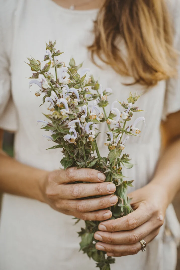 Red Tent Women's Circle