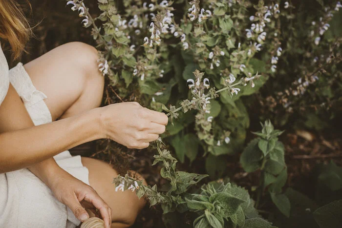 Subtle energy in agriculture and landscapes