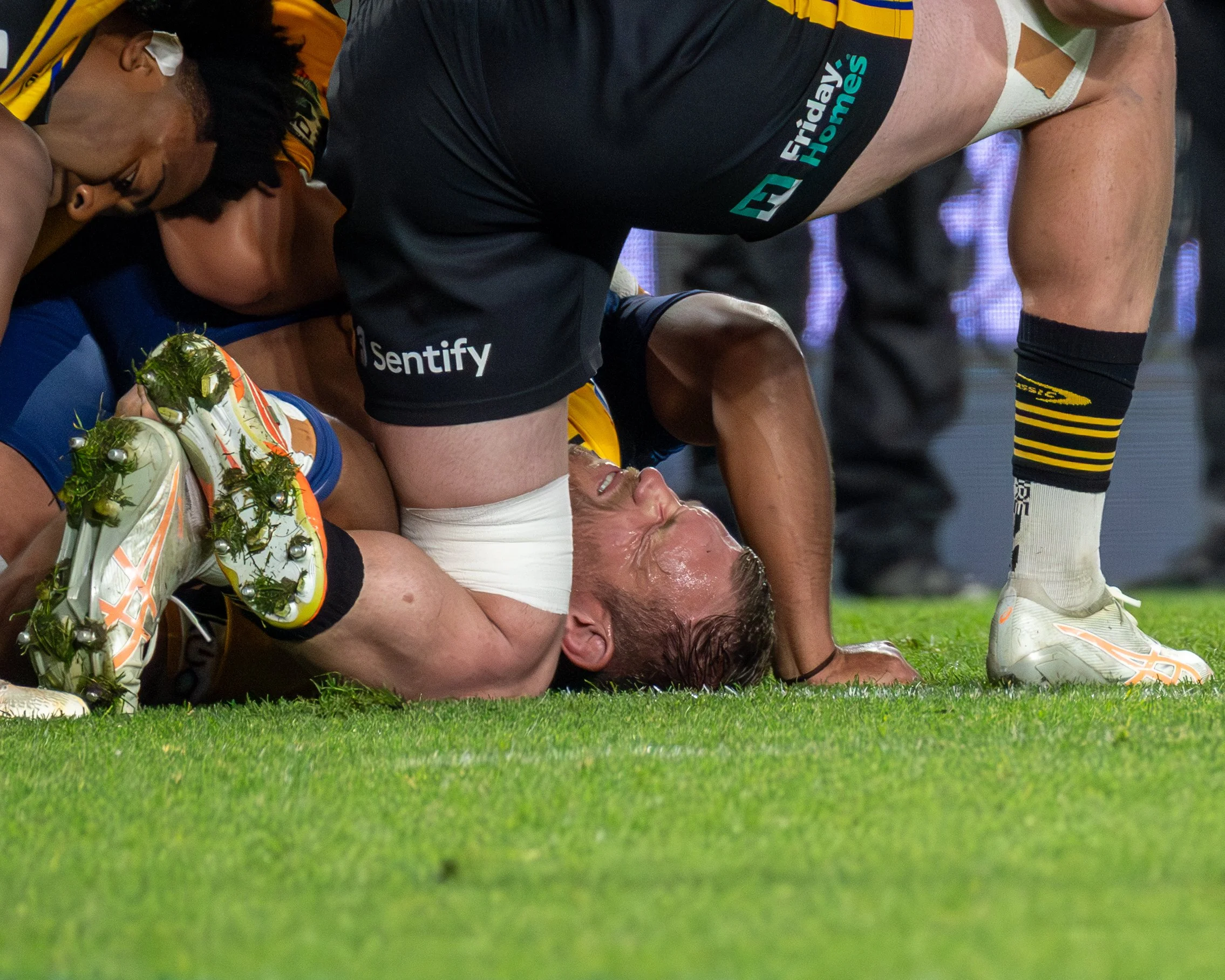 Highlanders vs Blues 16 May 2026
Shot by: Dominic Gasparich