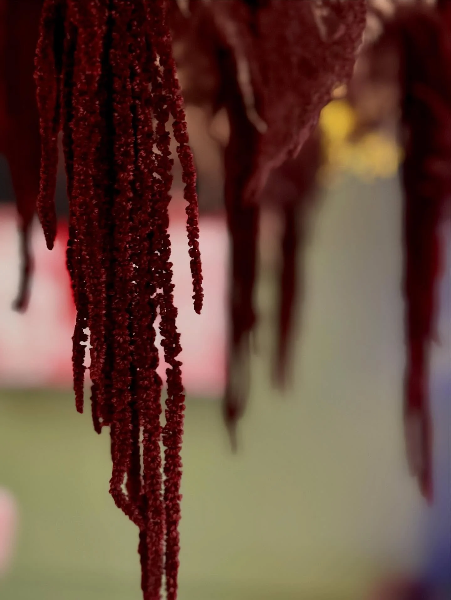 Not every season needs a big performance.

Sometimes it is one small detail that holds the whole feeling.

This stem is part of a fern cloud that is slowly coming together above our dining table. I had planned to share a polished time lapse of the wh