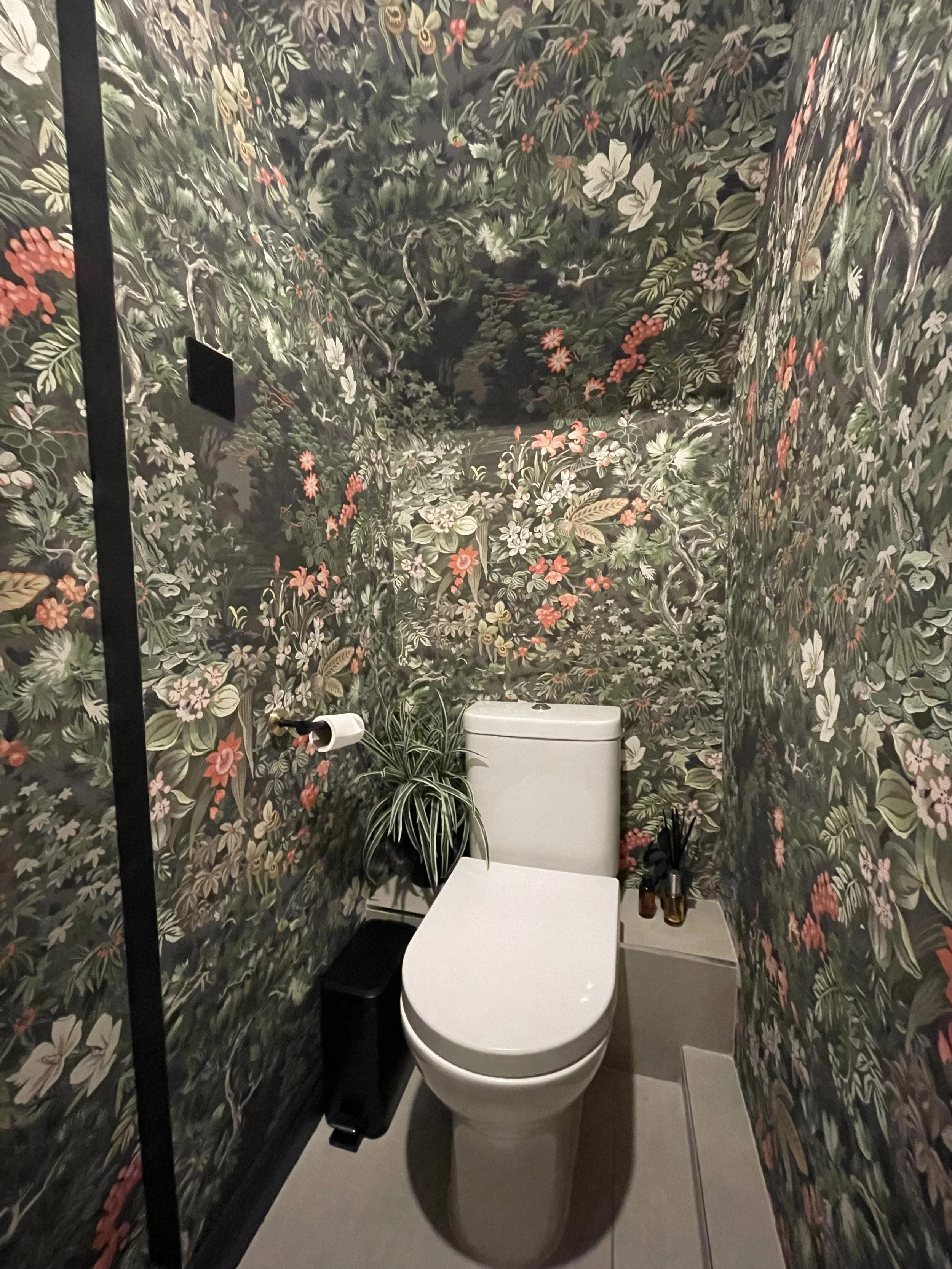 Downstairs cloakroom with floor-to-ceiling dark botanical jungle wallpaper, white toilet and spider plant, Tynemouth