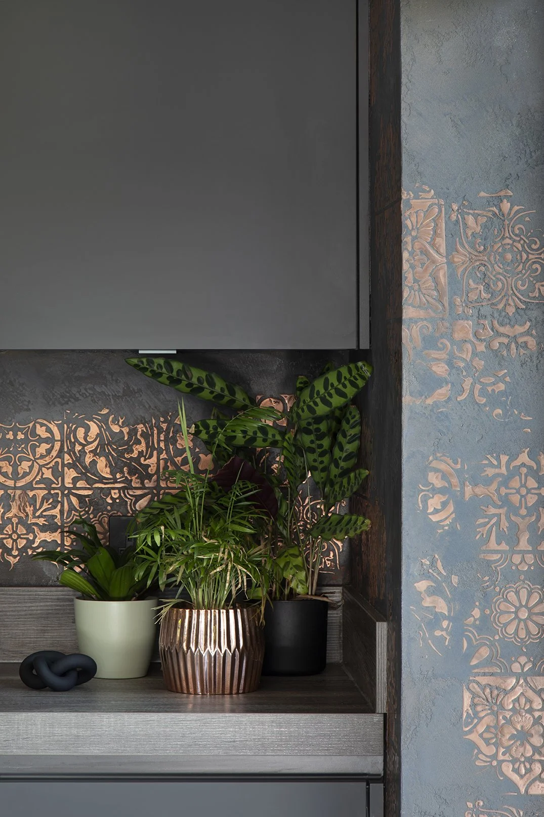 Kitchen open shelving nook with tropical houseplants in mixed pots against black and copper Venetian plaster splashback, Lytham Road Whitley Bay