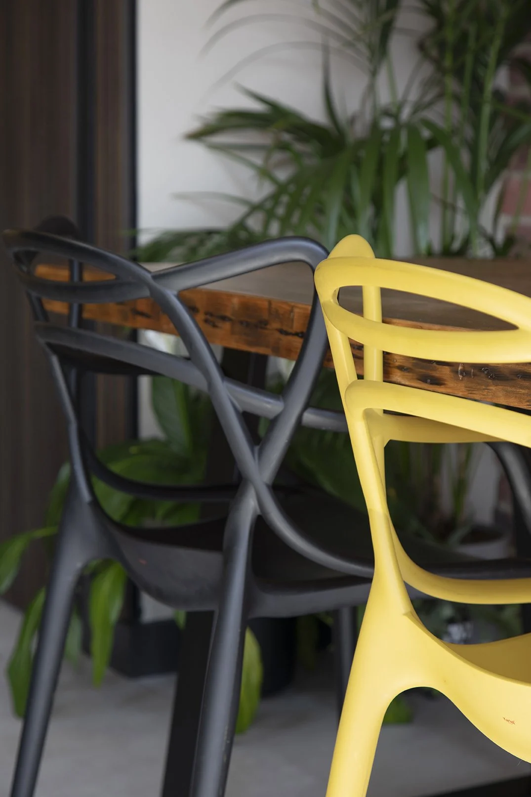 Close-up detail of black and yellow Masters-style dining chairs around a reclaimed solid wood dining table in a North Shields family home designed by Carole Crowe Interior Design, with lush indoor tropical plants in the background and dark timber sla